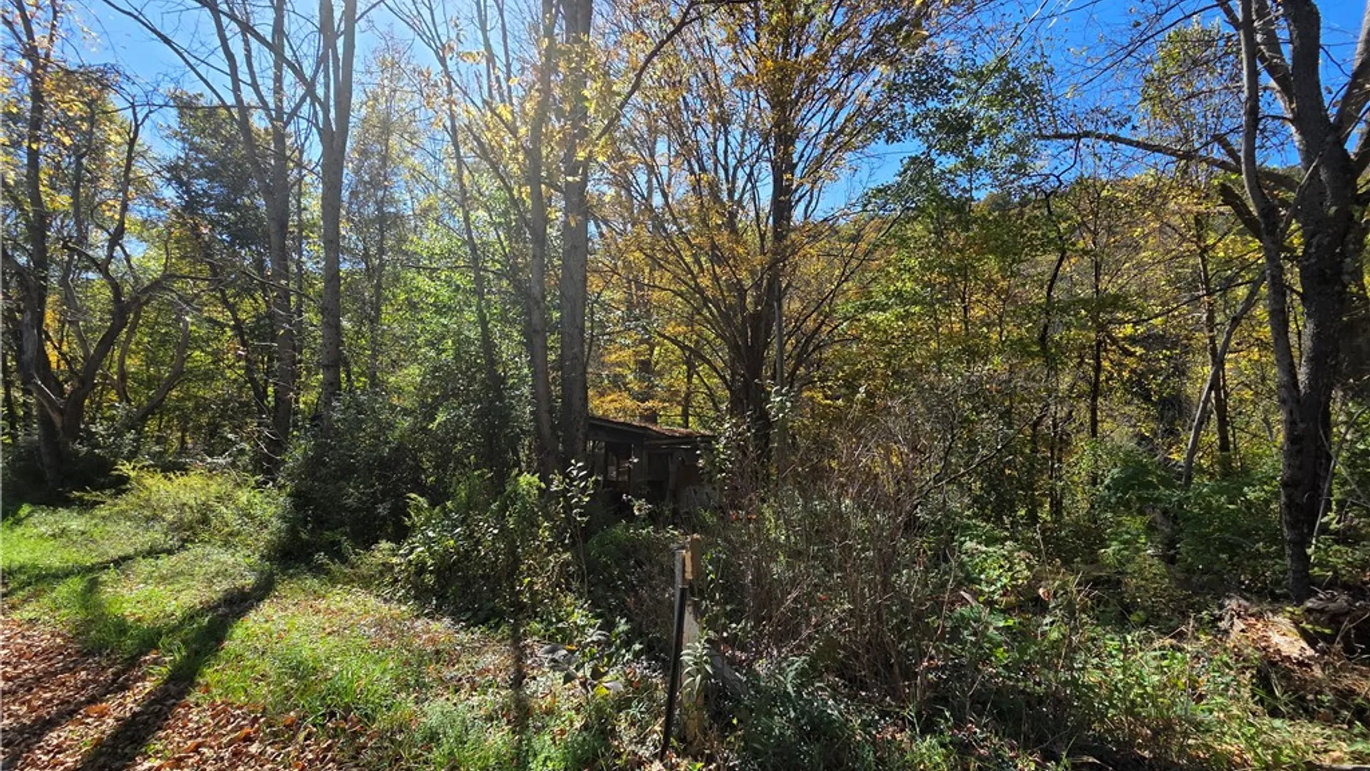 Property at Deputron Hollow Road, Danby, NY 14817 6
