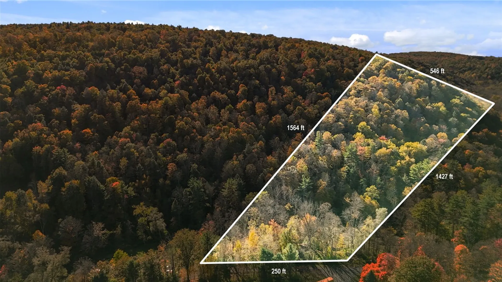 Property at Deputron Hollow Road, Danby, NY 14817 8