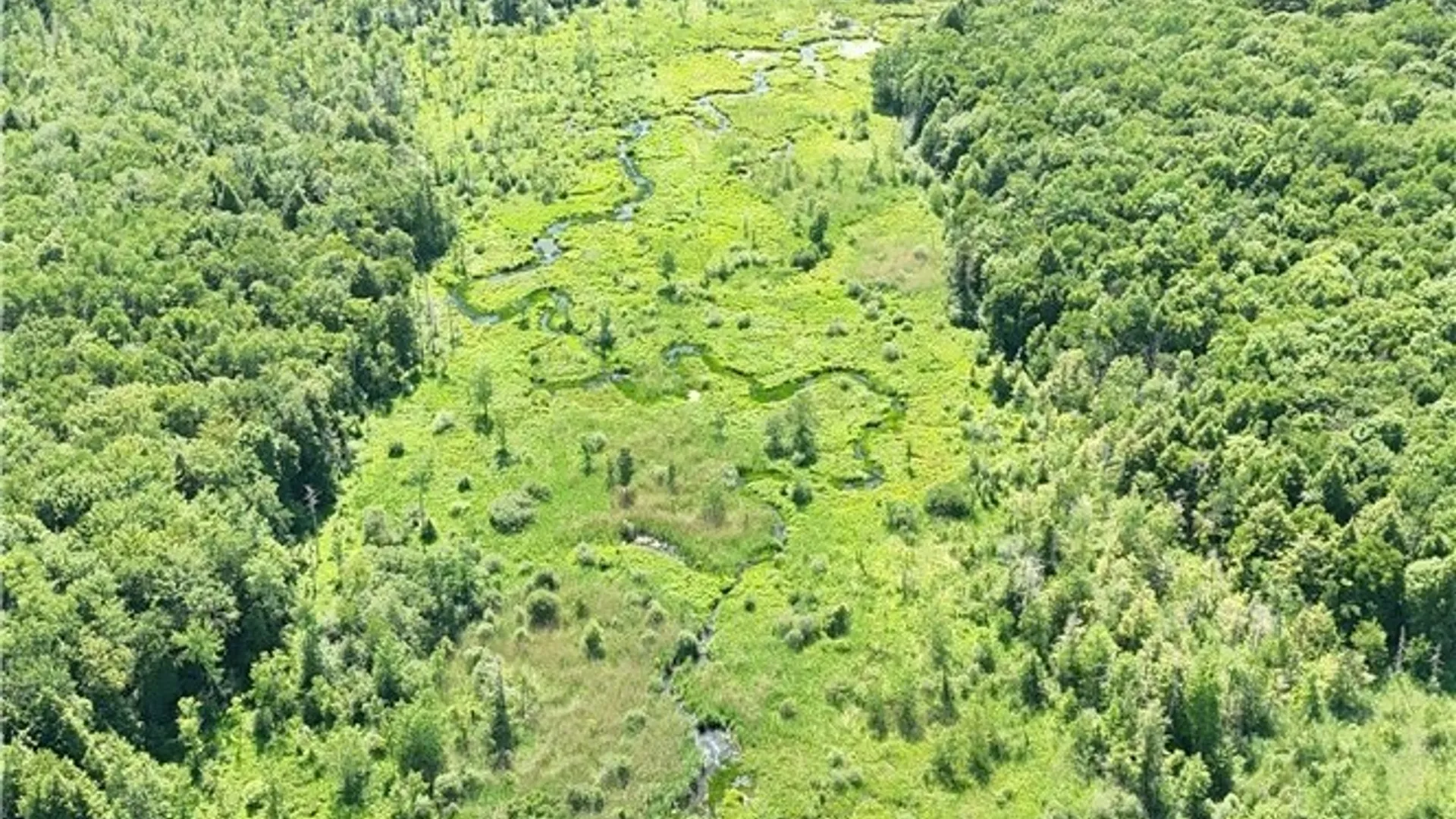 Property at S Albion, Albion, NY 13062 16