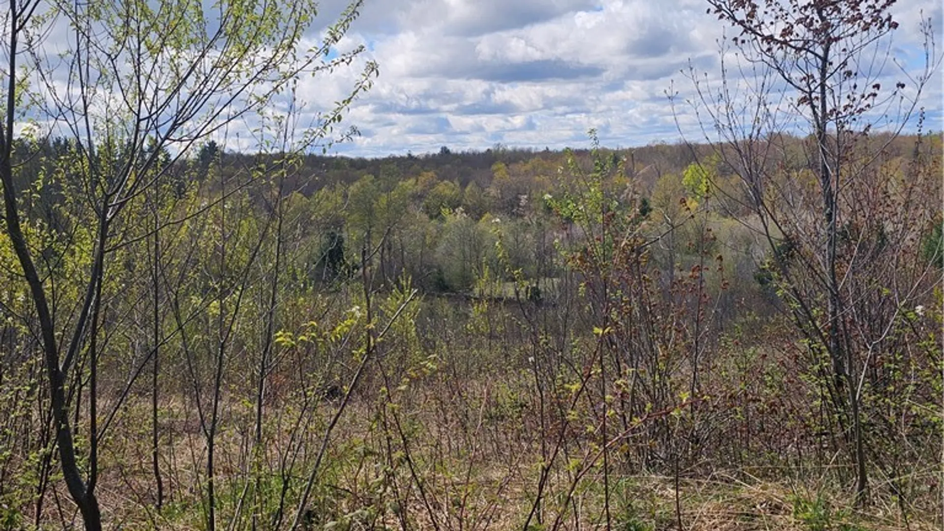 Property at S Albion, Albion, NY 13062 7