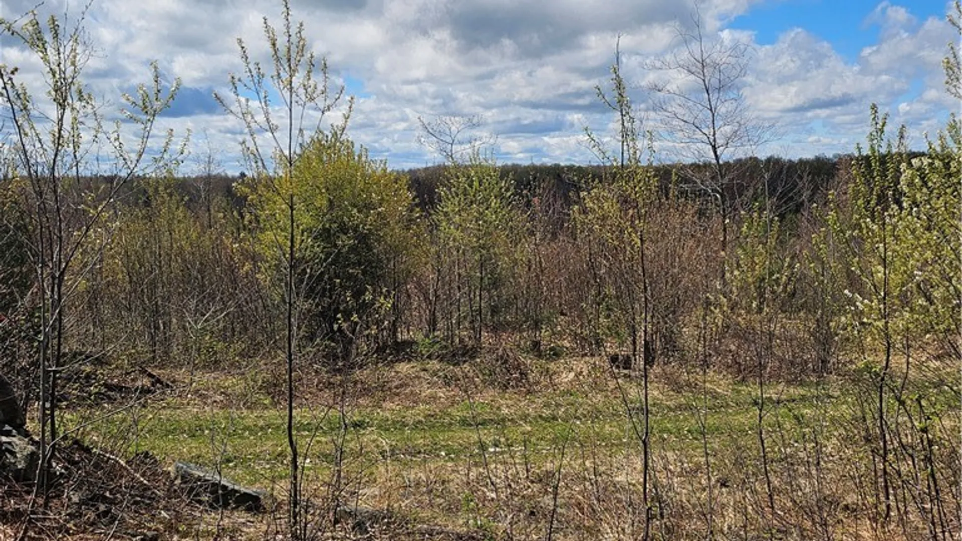 Property at S Albion, Albion, NY 13062 8