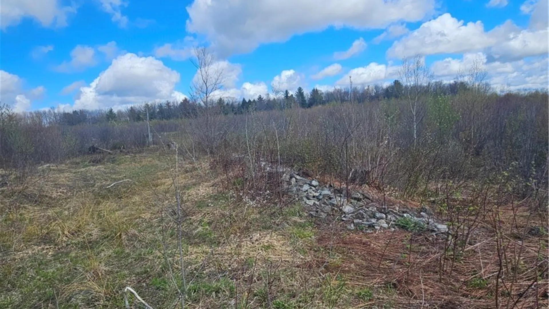 Property at S Albion, Albion, NY 13062 9
