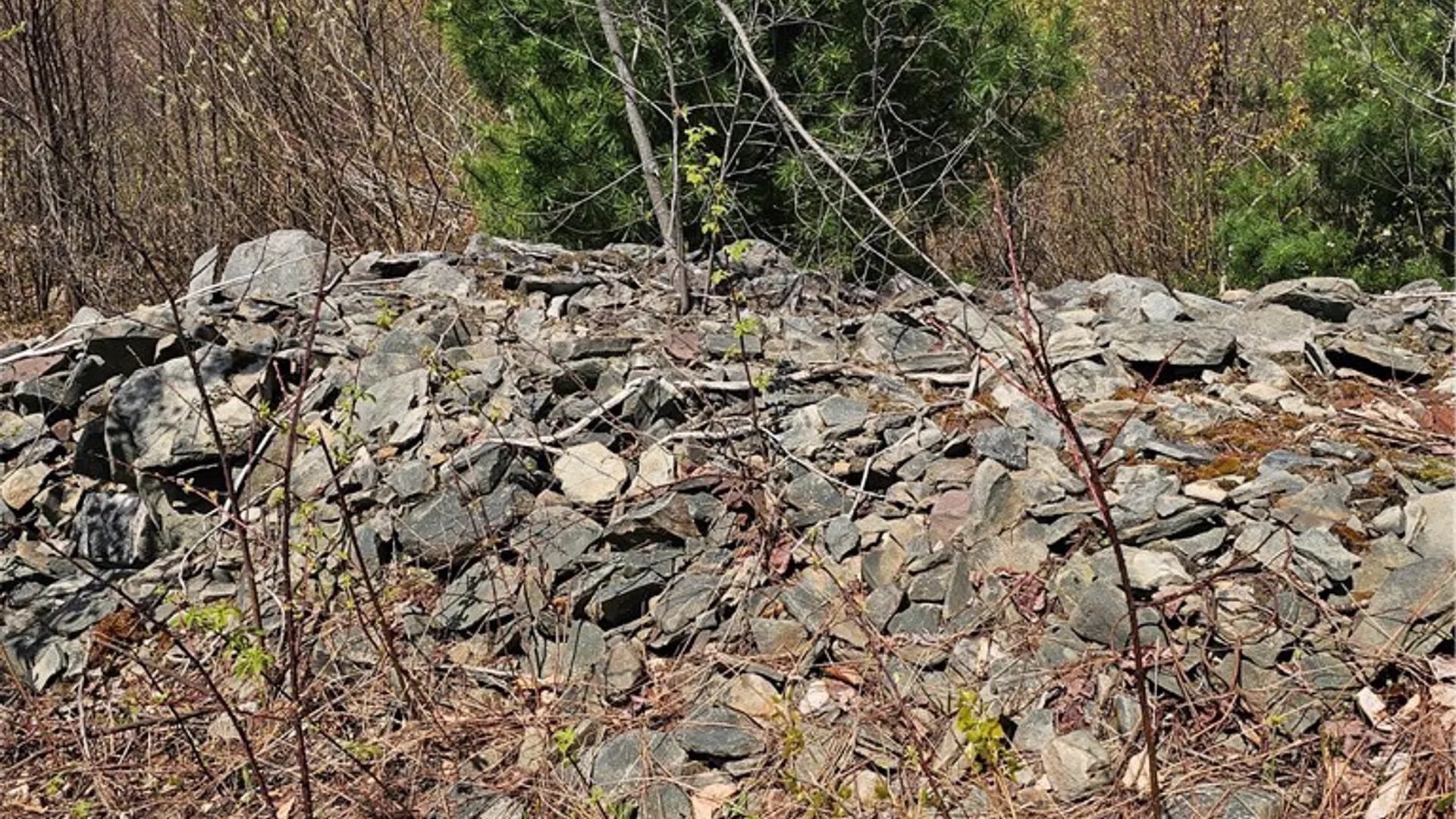 Property at S Albion, Albion, NY 13062 10