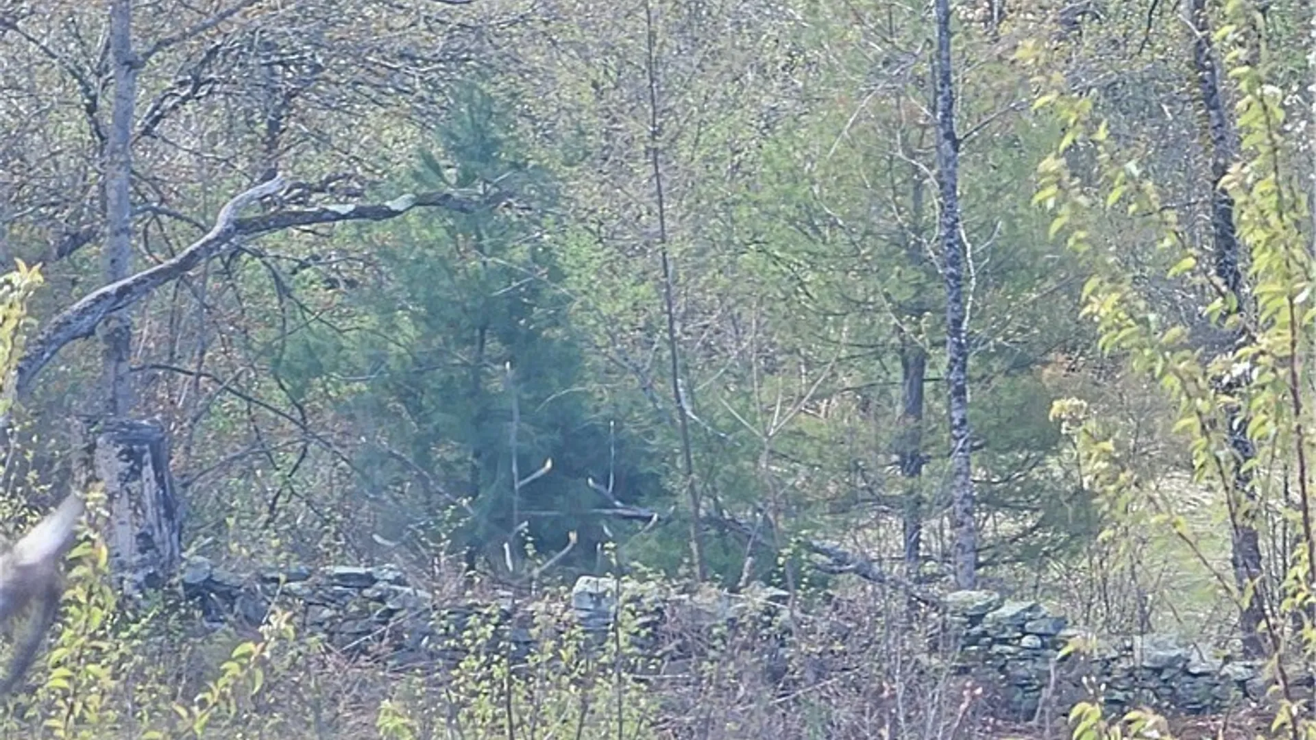 Property at S Albion, Albion, NY 13062 11
