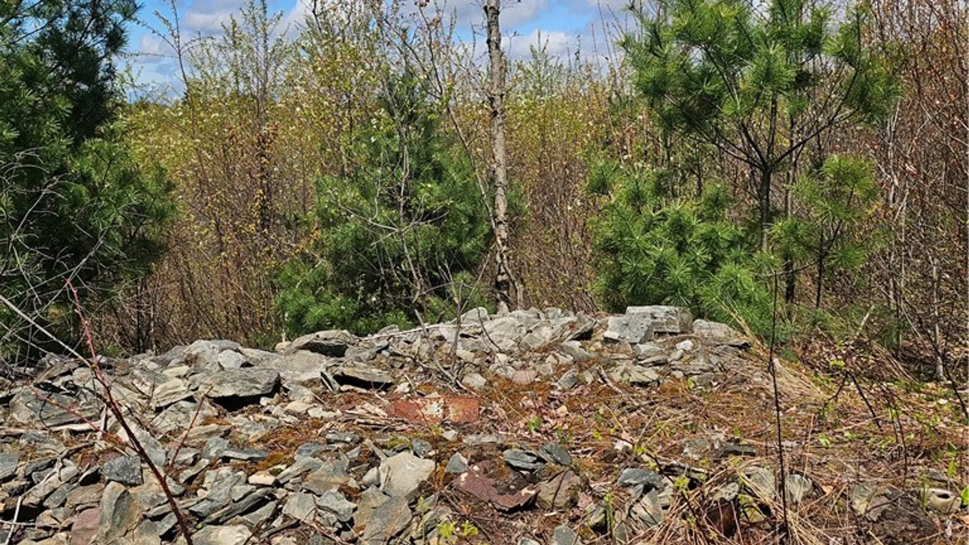 Property at S Albion, Albion, NY 13062 12