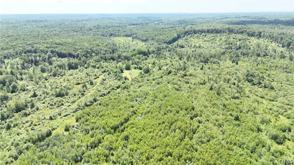Property at S Albion, Albion, NY 13062