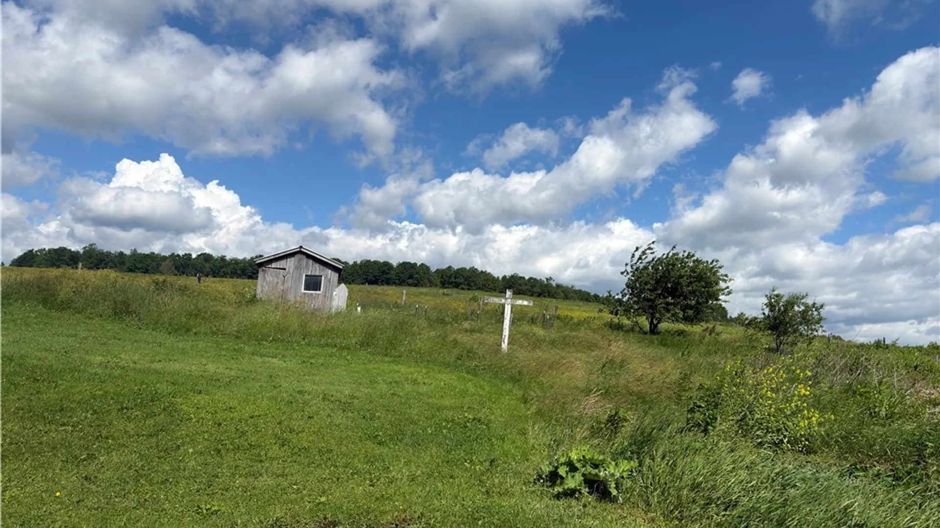 Property at 3801 Sprague Hill Road, Poland, NY 14733 5