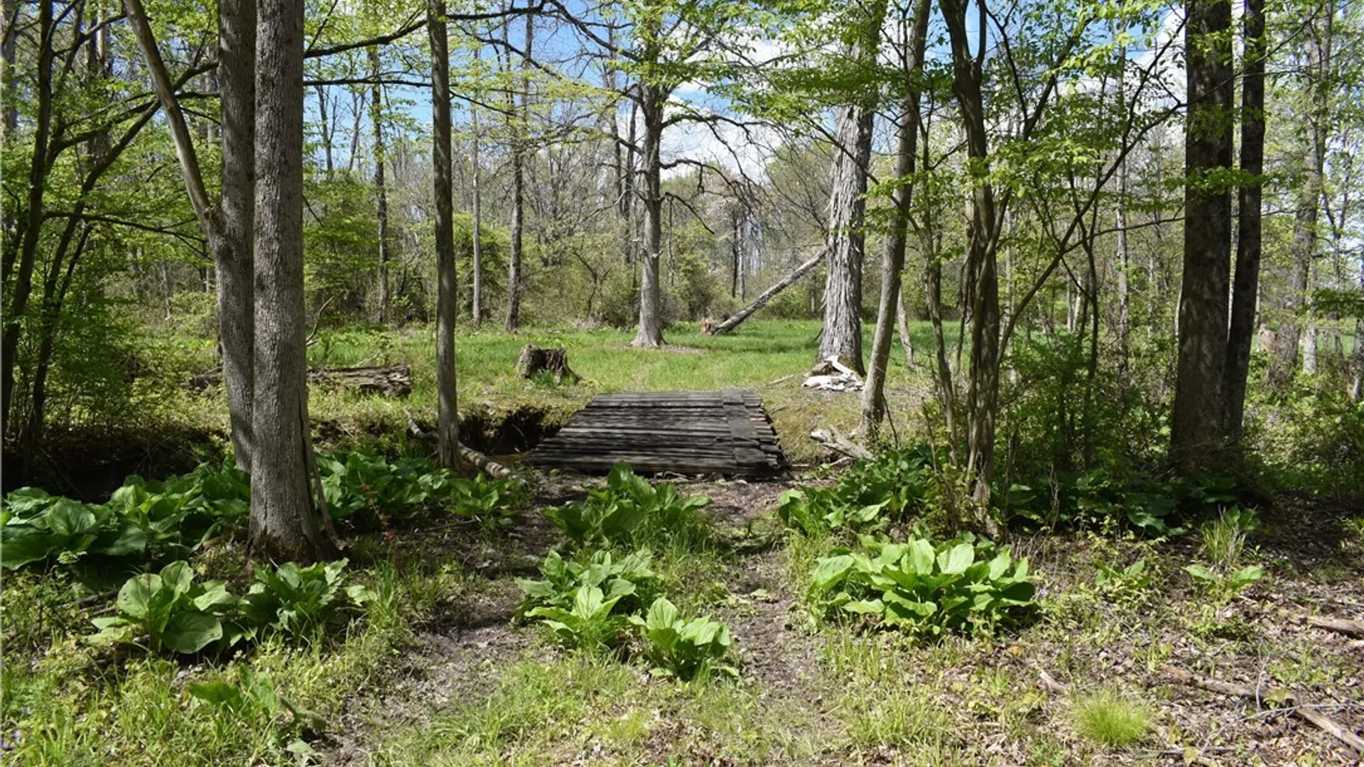 Property at 0 W Main Street, Carroll, NY 14738 21