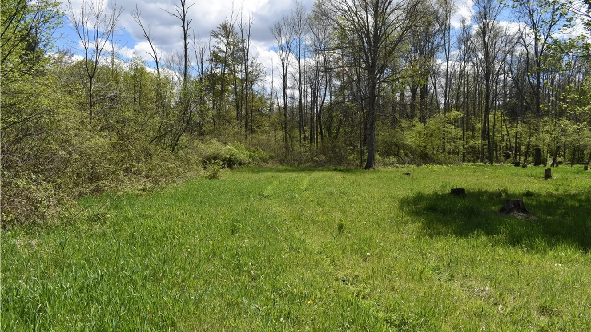 Property at 0 W Main Street, Carroll, NY 14738 24