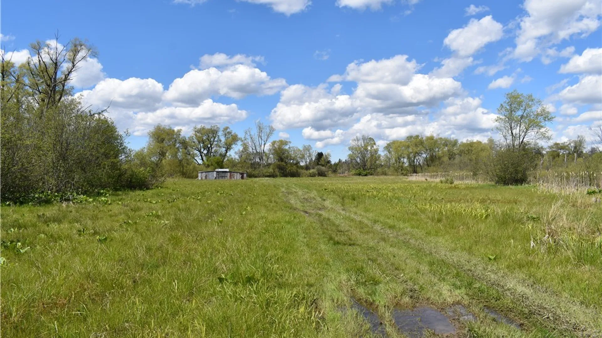 Property at 0 W Main Street, Carroll, NY 14738 39