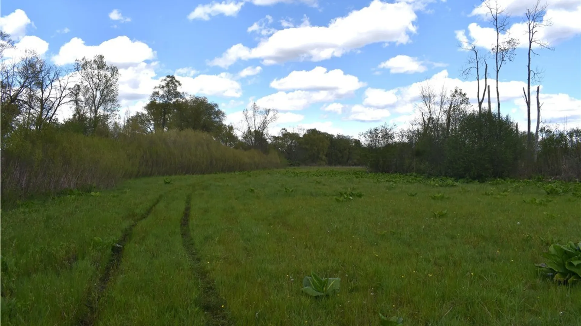 Property at 0 W Main Street, Carroll, NY 14738 36