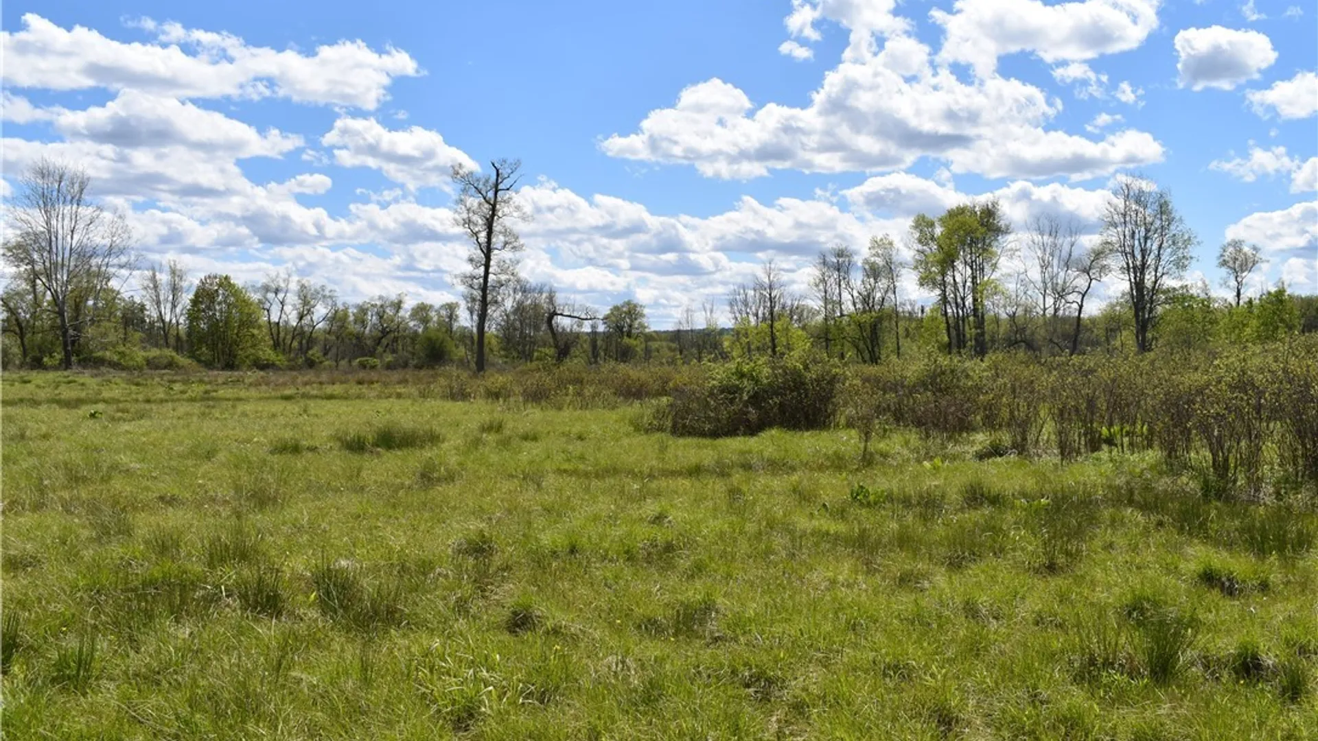 Property at 0 W Main Street, Carroll, NY 14738 38