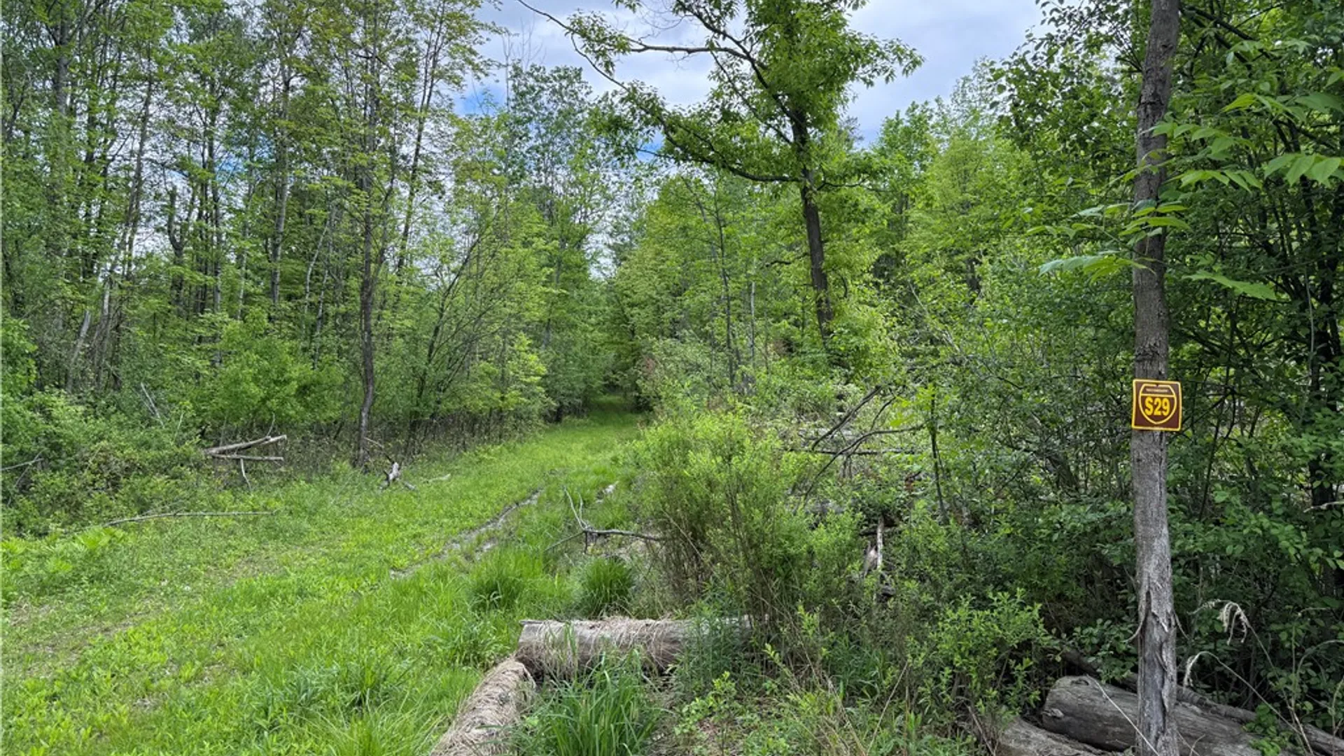 Property at Hawley Road, Orange, NY 14815 26