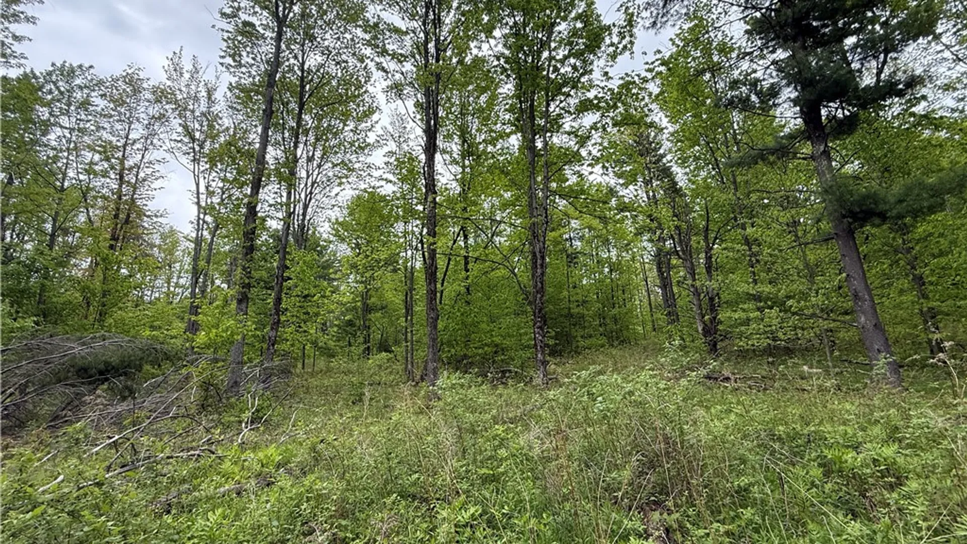Property at Hawley Road, Orange, NY 14815 34