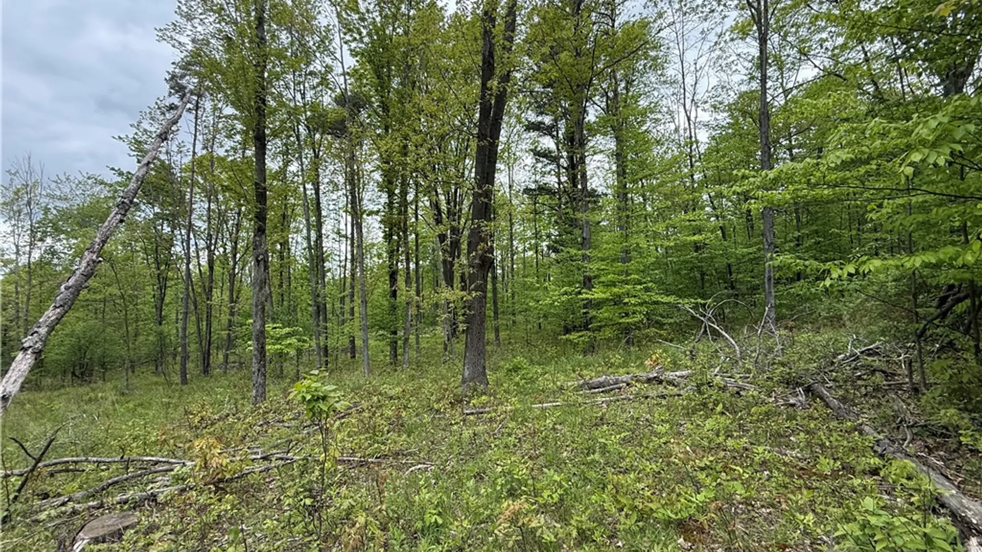 Property at Hawley Road, Orange, NY 14815 35