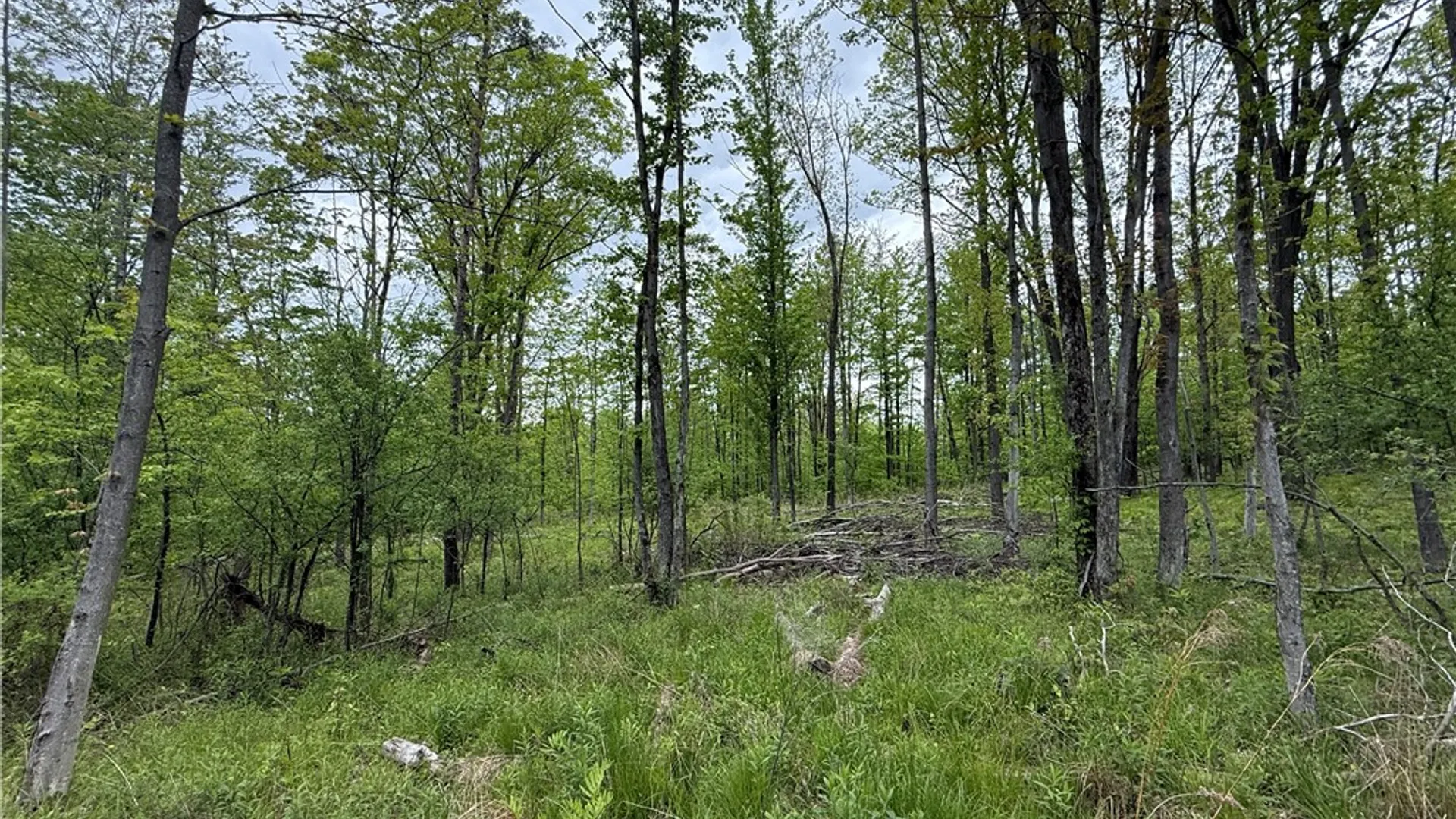 Property at Hawley Road, Orange, NY 14815 36