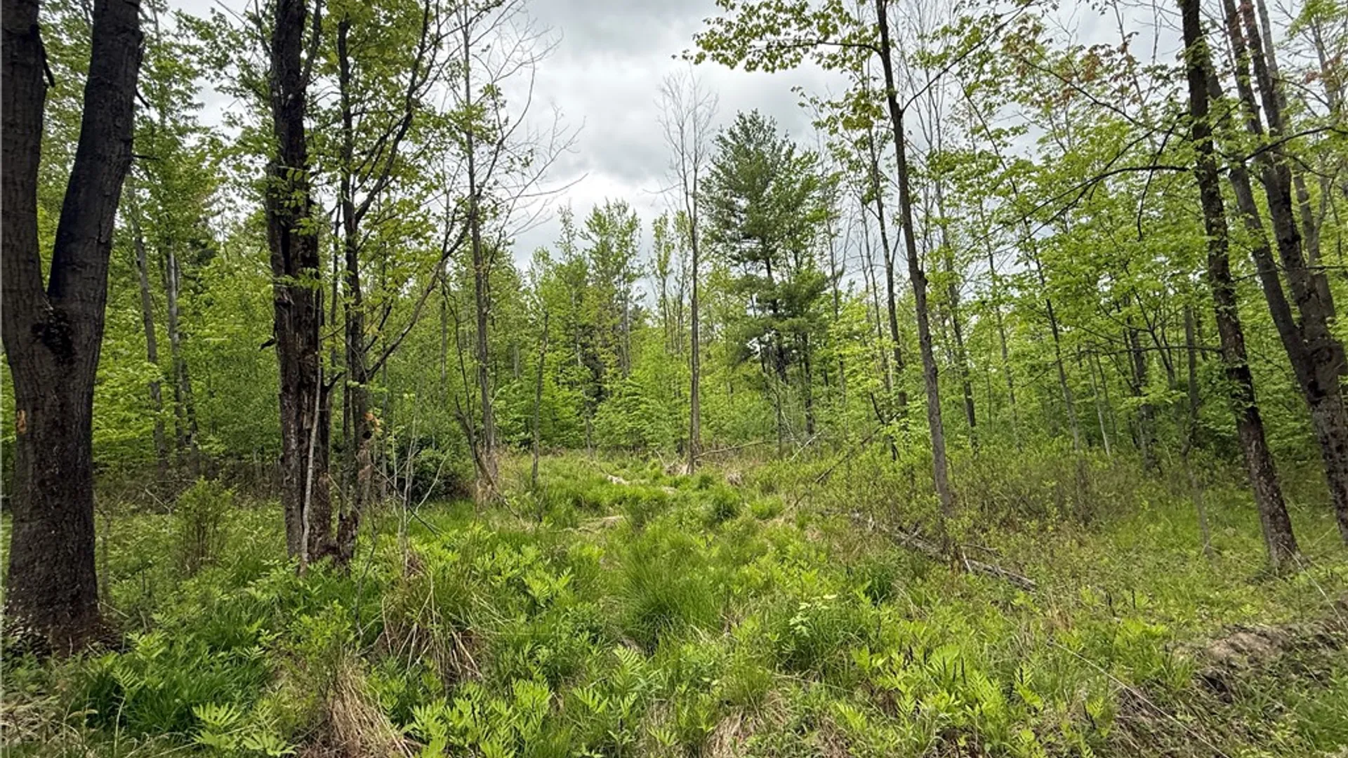 Property at Hawley Road, Orange, NY 14815 8