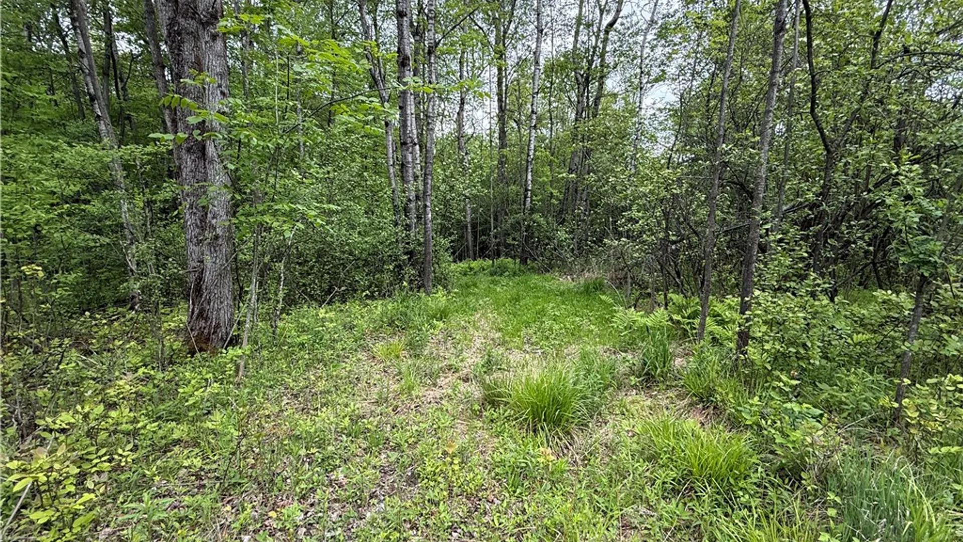 Property at Hawley Road, Orange, NY 14815 11