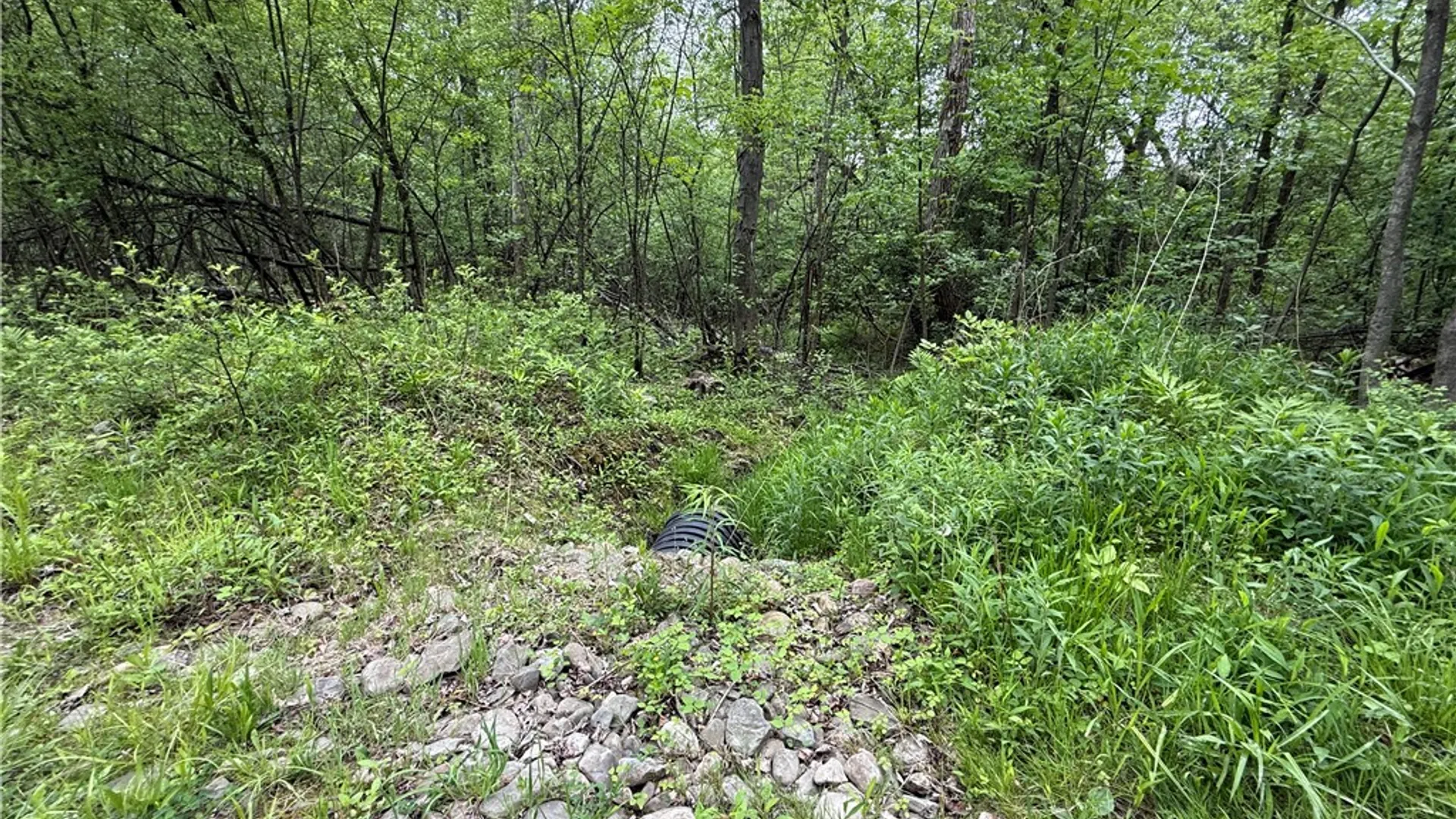 Property at Hawley Road, Orange, NY 14815 15