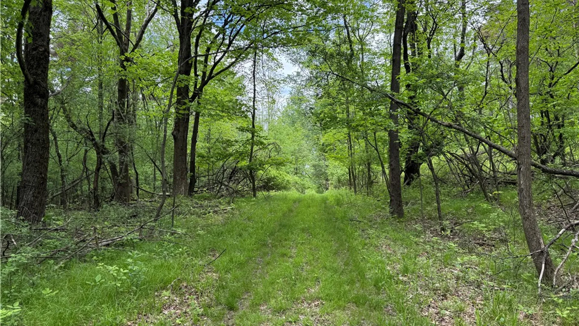 Property at Hawley Road, Orange, NY 14815 21