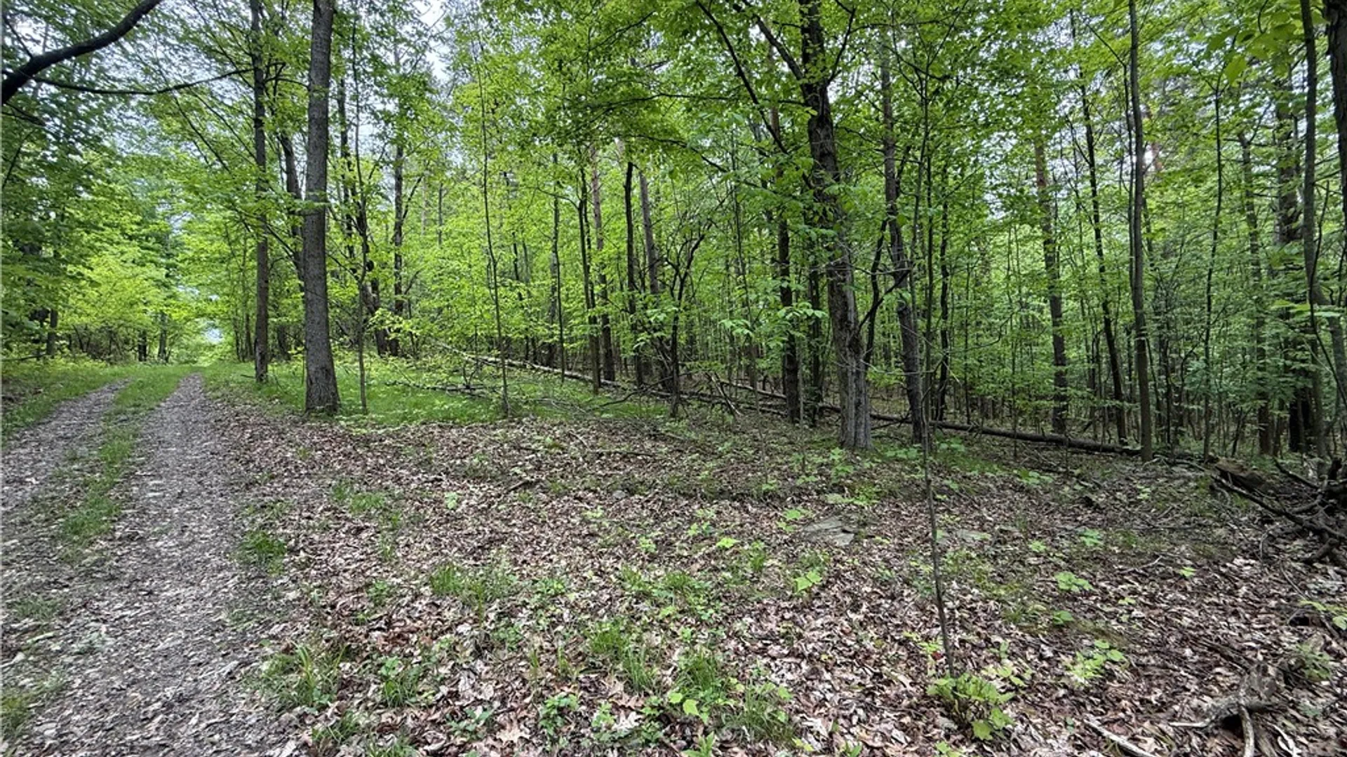 Property at Hawley Road, Orange, NY 14815 22