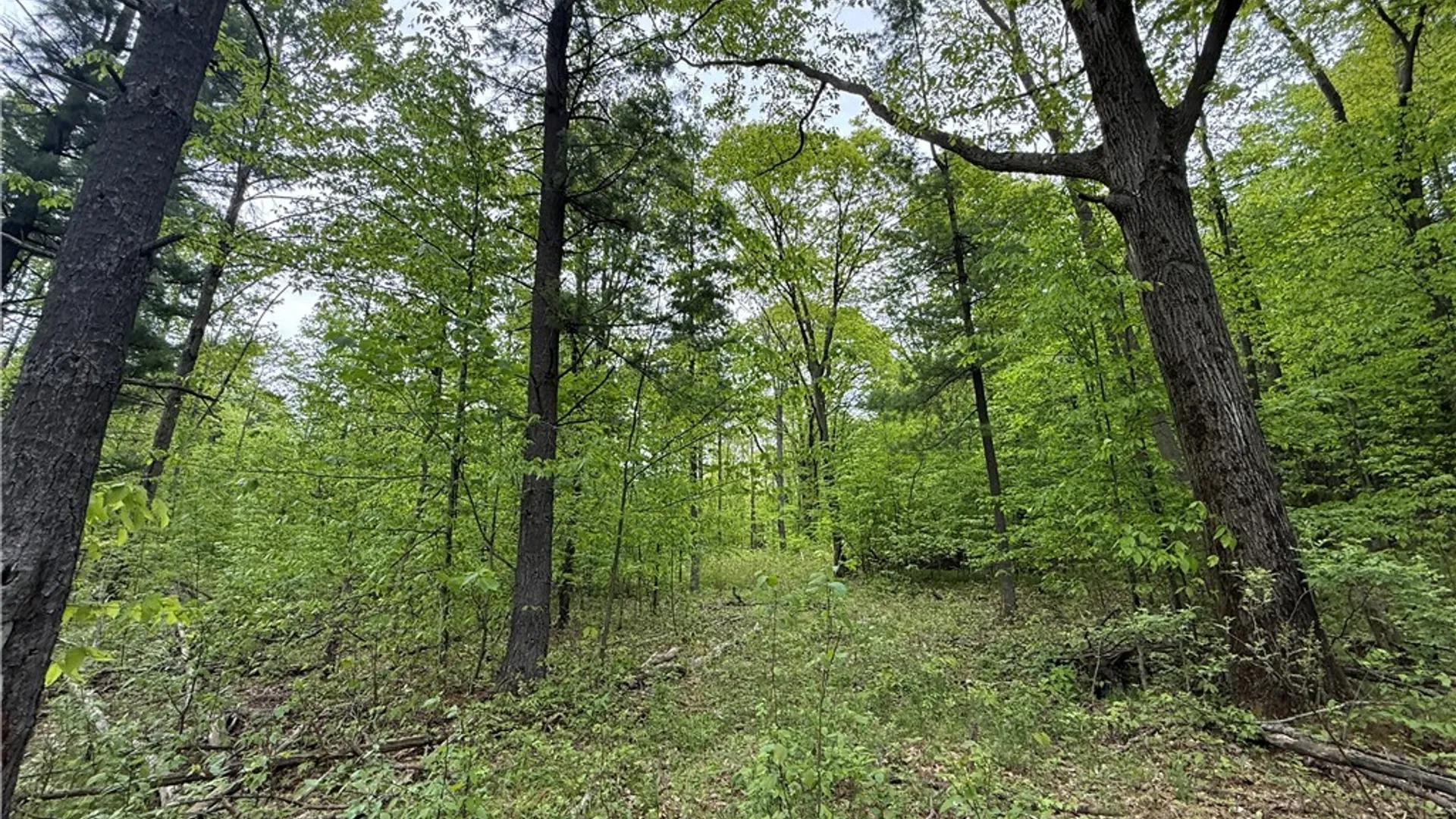 Property at Hawley Road, Orange, NY 14815 5