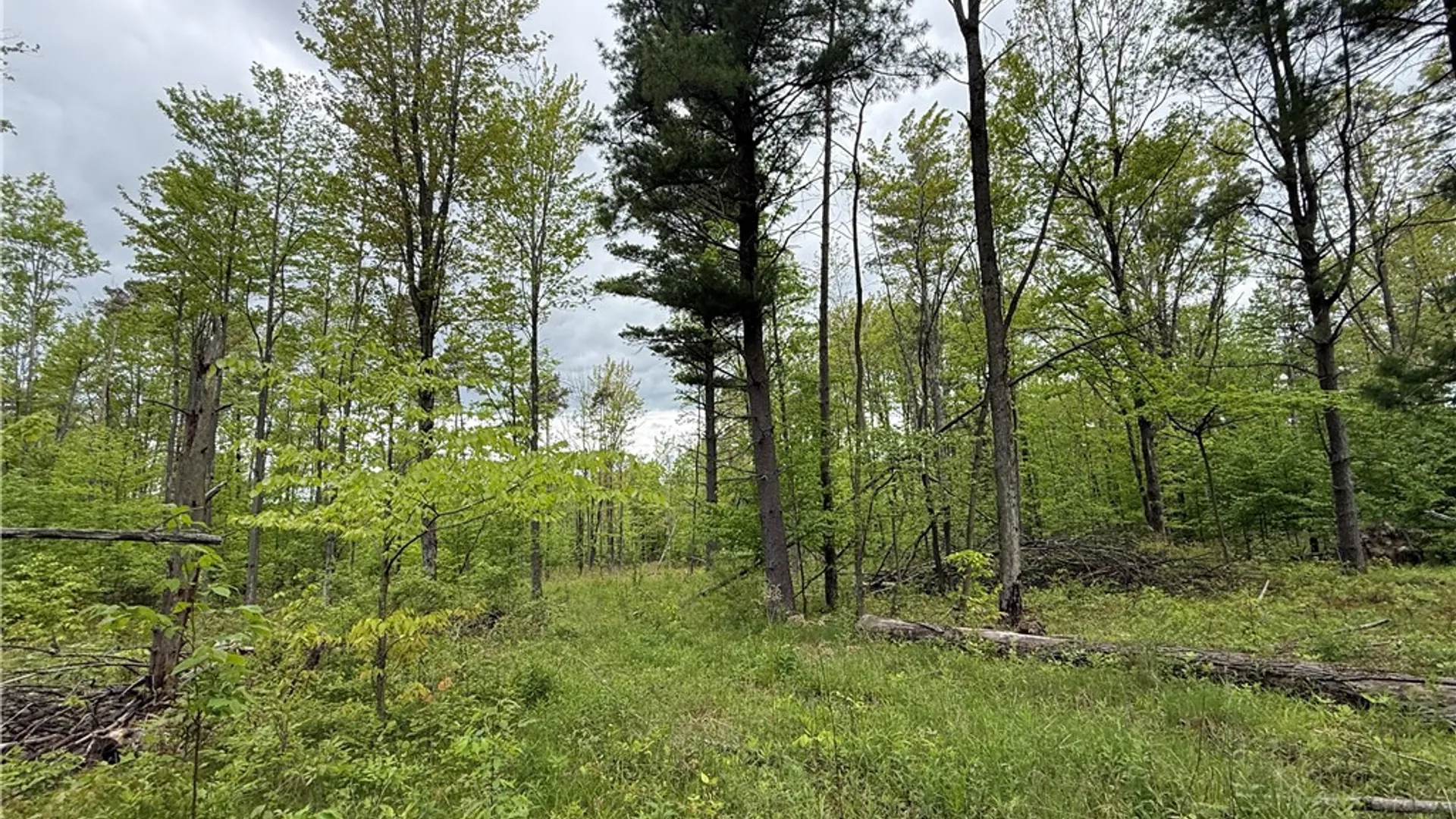 Property at Hawley Road, Orange, NY 14815 6