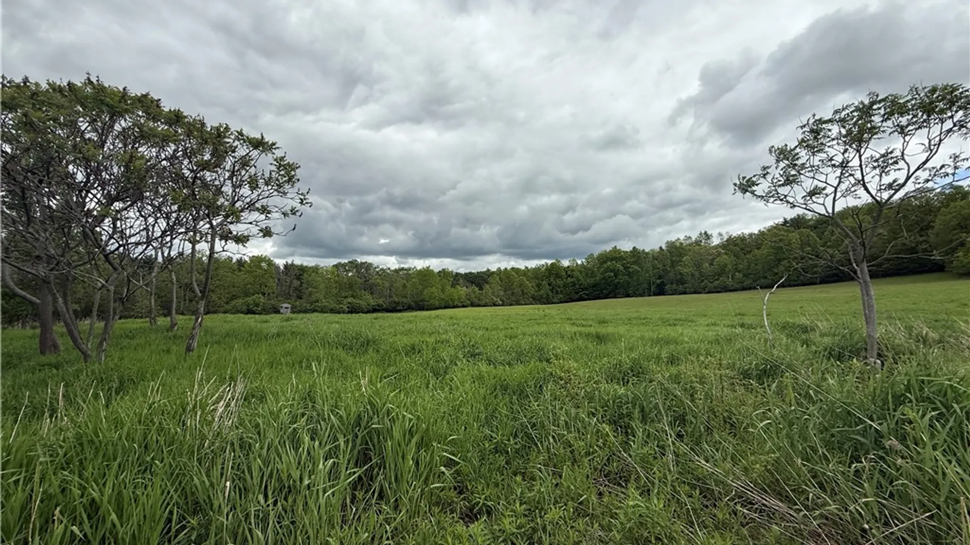 Property at 2410 Yawger Hill Road, Orange, NY 14815 25