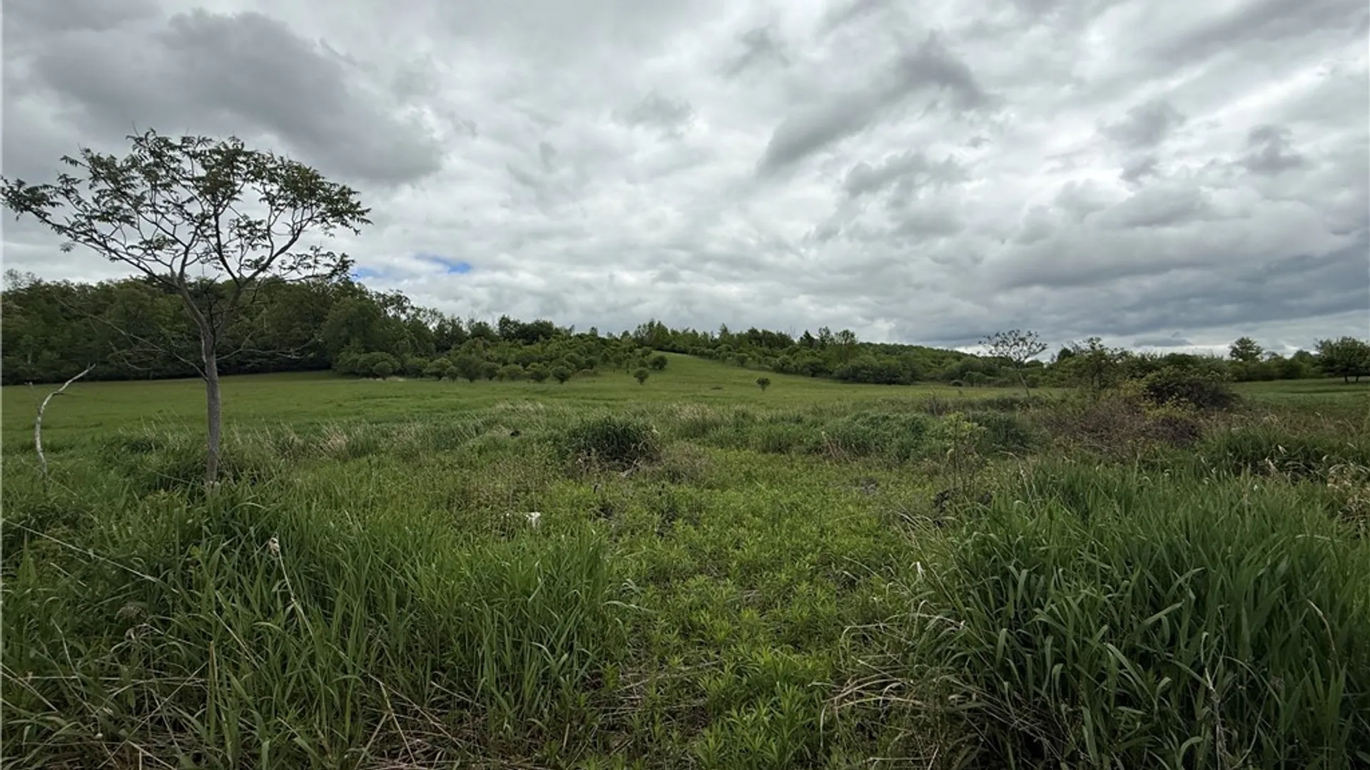 Property at 2410 Yawger Hill Road, Orange, NY 14815 26