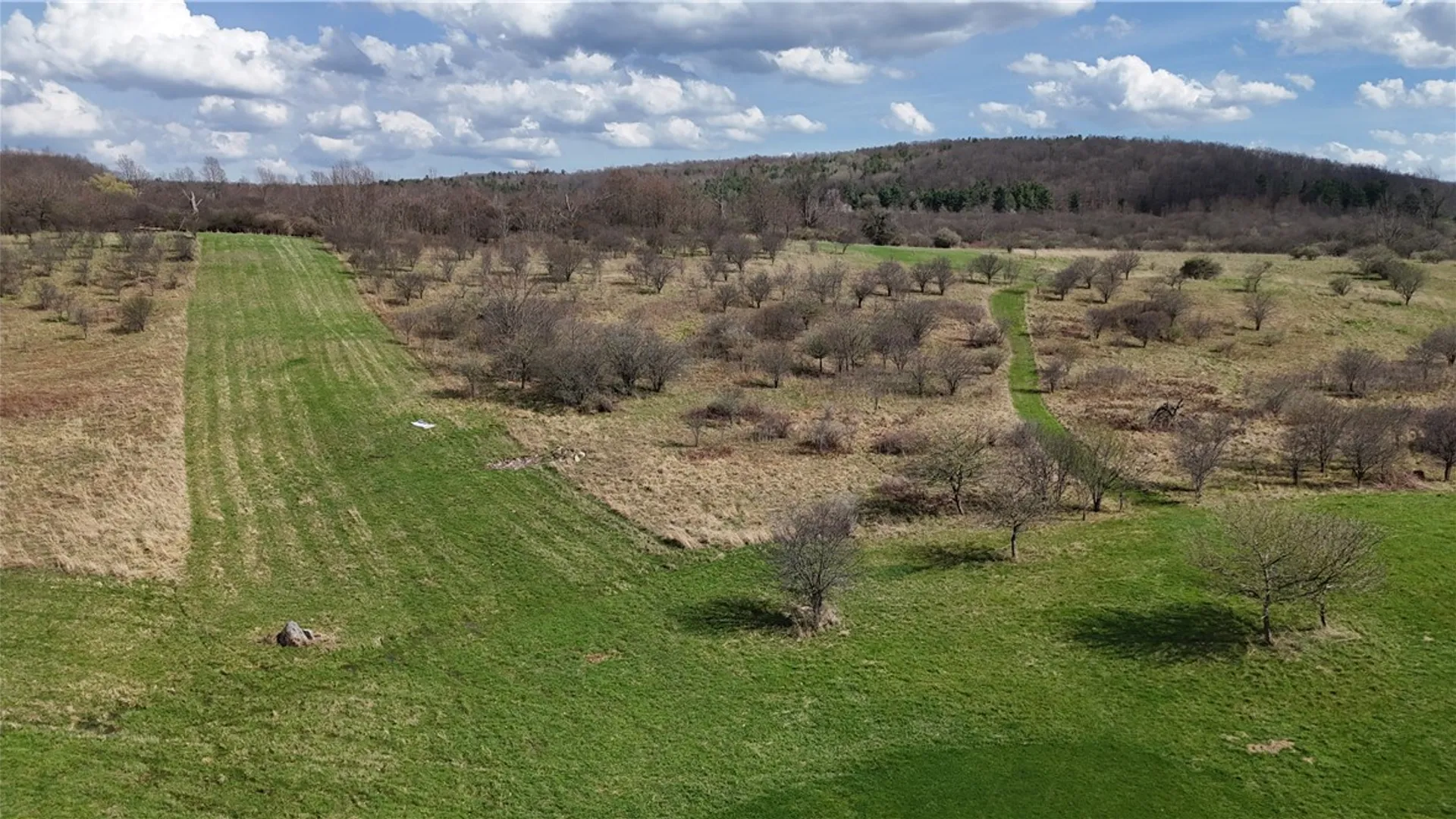 Property at 2410 Yawger Hill Road, Orange, NY 14815 5