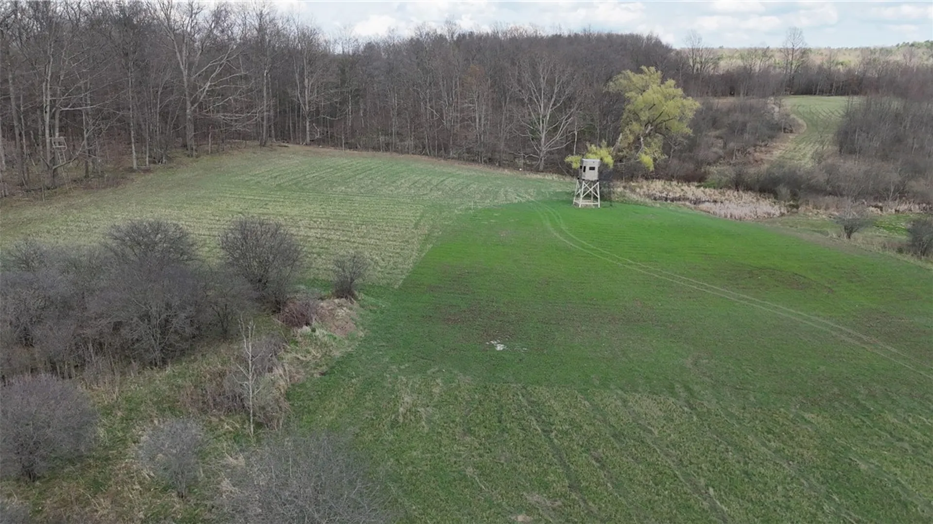 Property at 2410 Yawger Hill Road, Orange, NY 14815 34