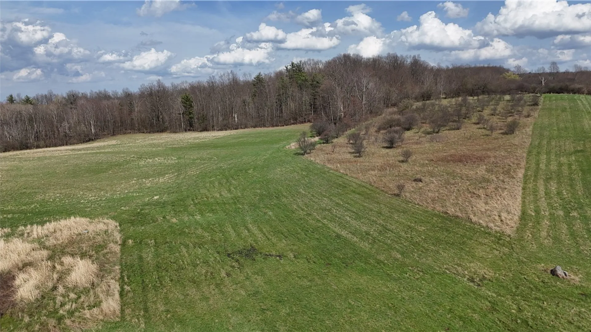 Property at 2410 Yawger Hill Road, Orange, NY 14815 39
