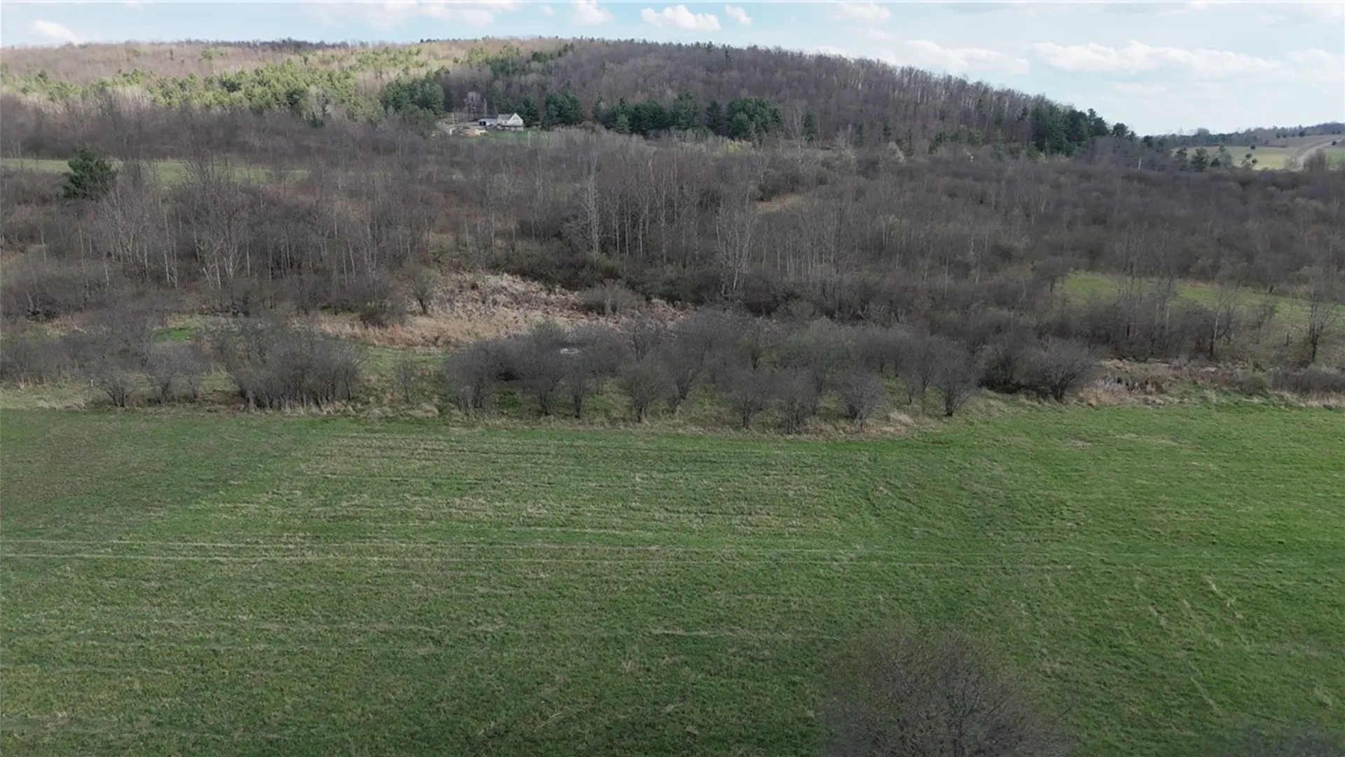 Property at 2410 Yawger Hill Road, Orange, NY 14815 42