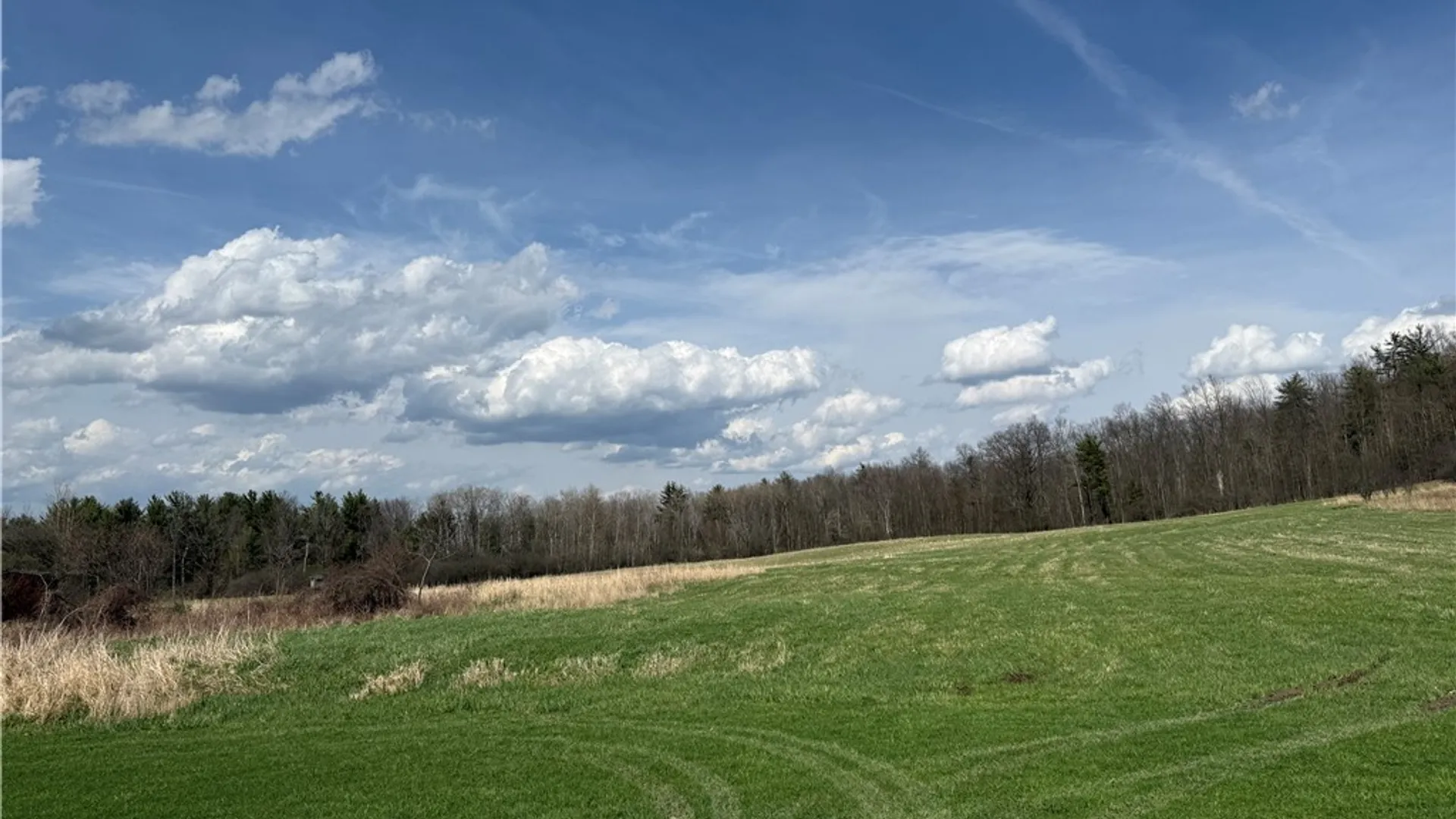 Property at 2410 Yawger Hill Road, Orange, NY 14815 43