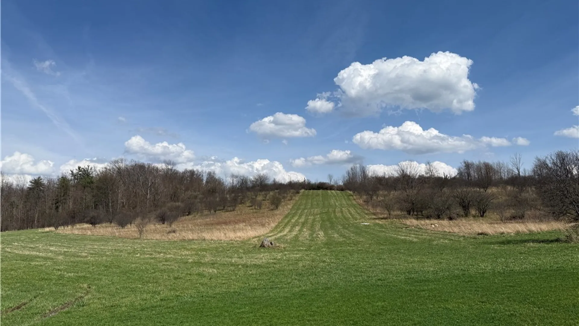 Property at 2410 Yawger Hill Road, Orange, NY 14815 44