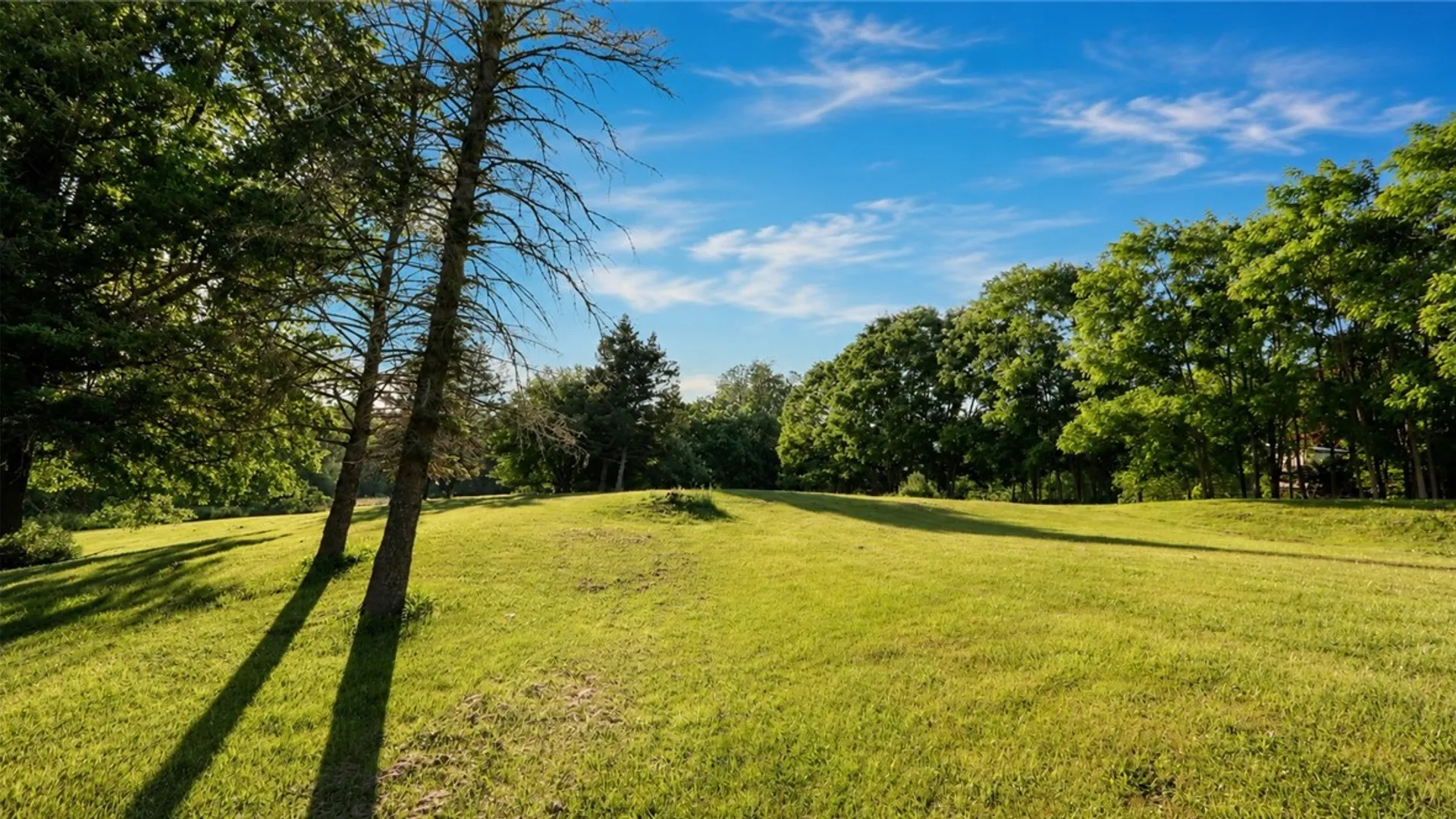 Property at 225 Carter Road, Geneva Town, NY 14456 5