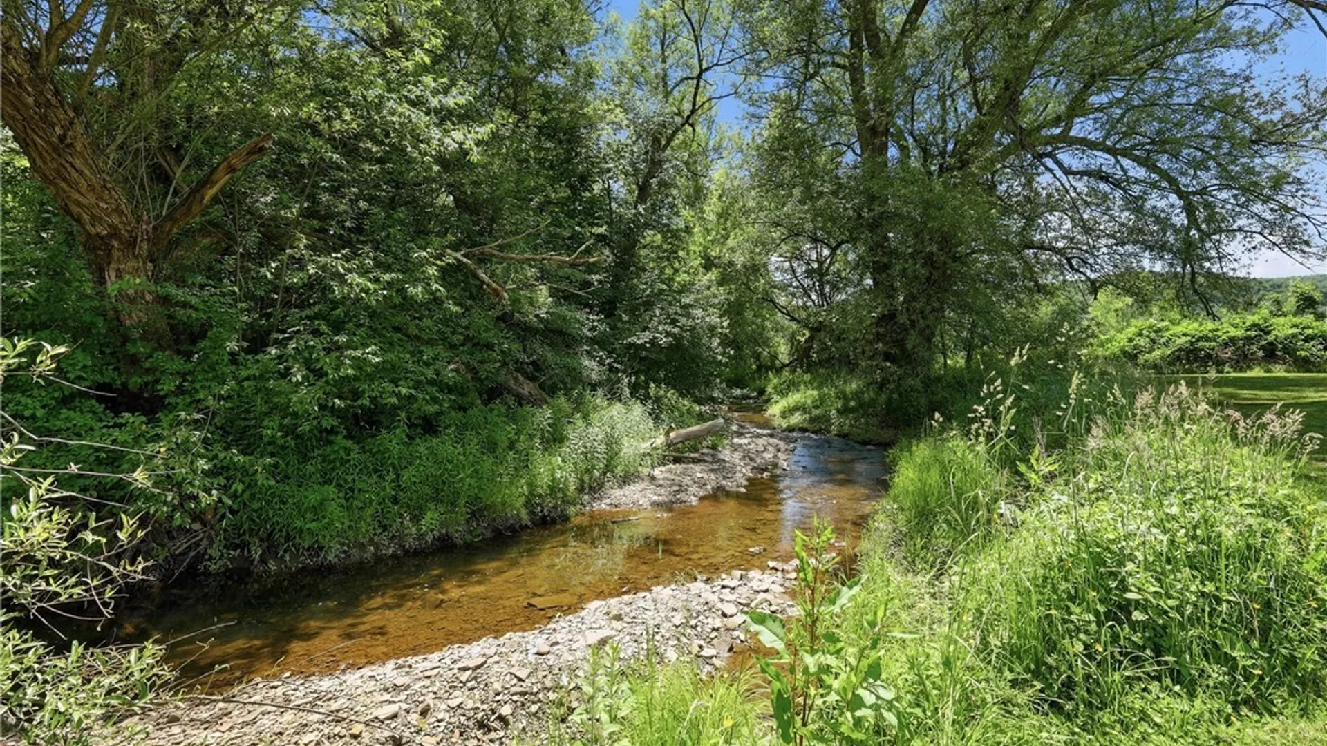 Property at 8005 Dublin Road, Mansfield, NY 14779 29