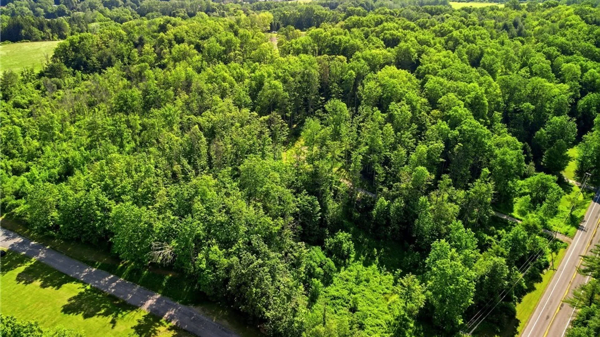 Property at 11980 Strykersville Road, Wales, NY 14169 7