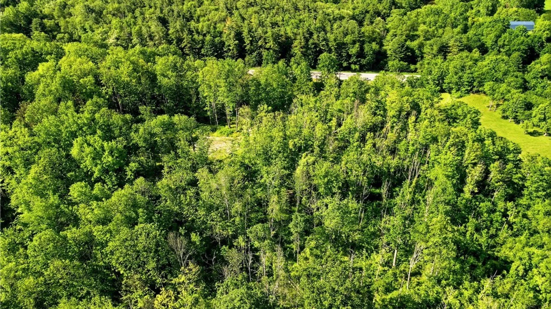 Property at 11980 Strykersville Road, Wales, NY 14169 8