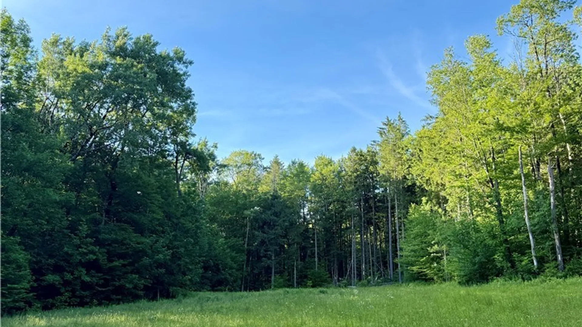 Property at 9191 Furman Mills Road, Brookfield, NY 13485 5