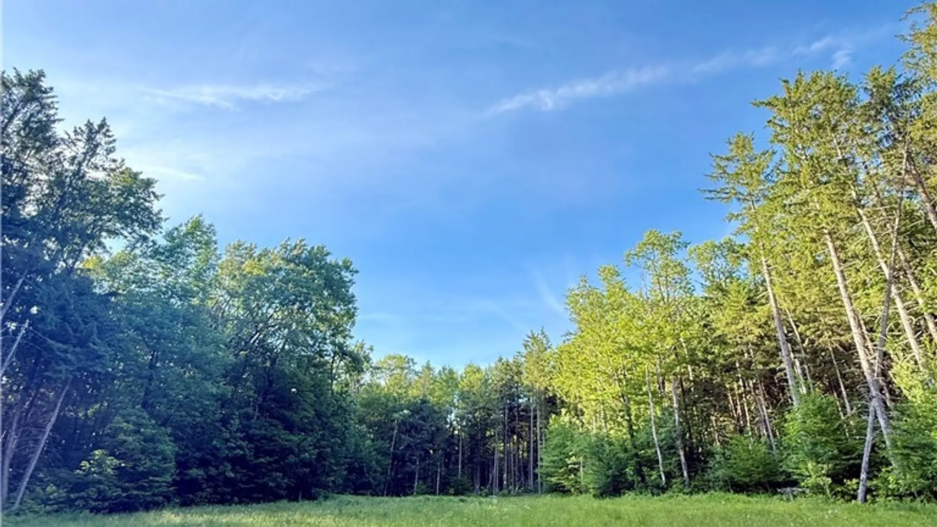 Property at 9191 Furman Mills Road, Brookfield, NY 13485 6