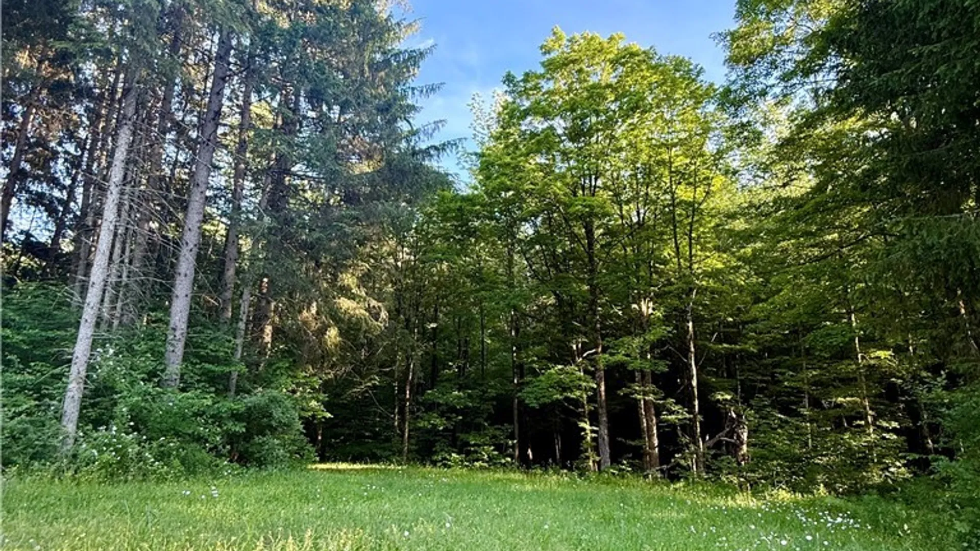 Property at 9191 Furman Mills Road, Brookfield, NY 13485 7