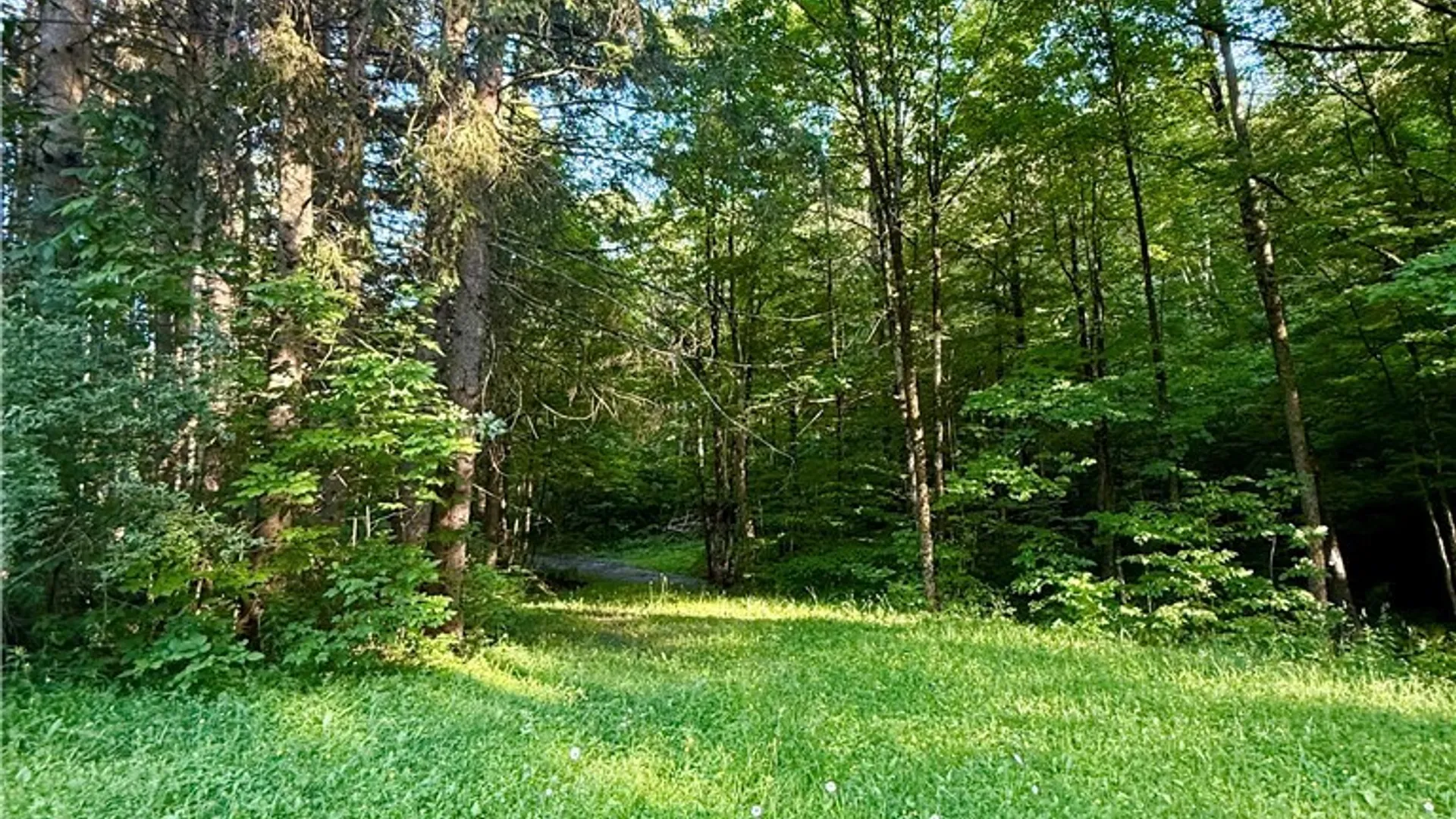 Property at 9191 Furman Mills Road, Brookfield, NY 13485 9