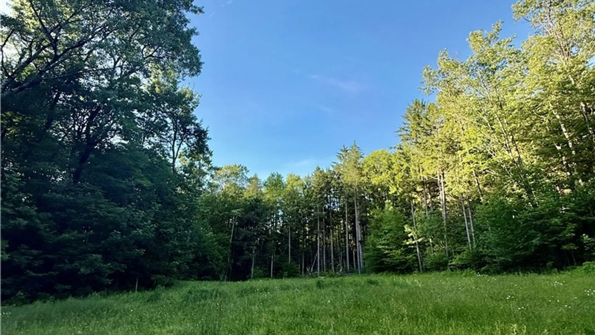Property at 9191 Furman Mills Road, Brookfield, NY 13485 14