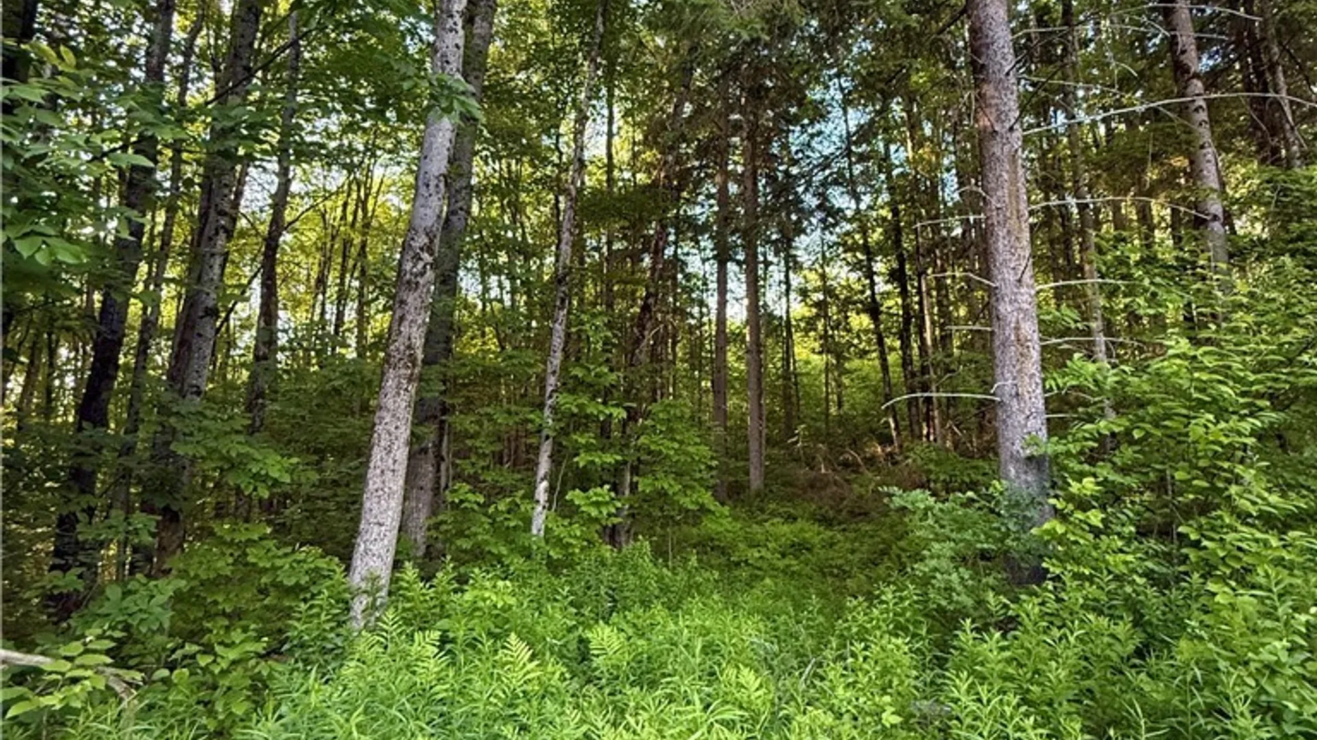 Property at 9191 Furman Mills Road, Brookfield, NY 13485 16