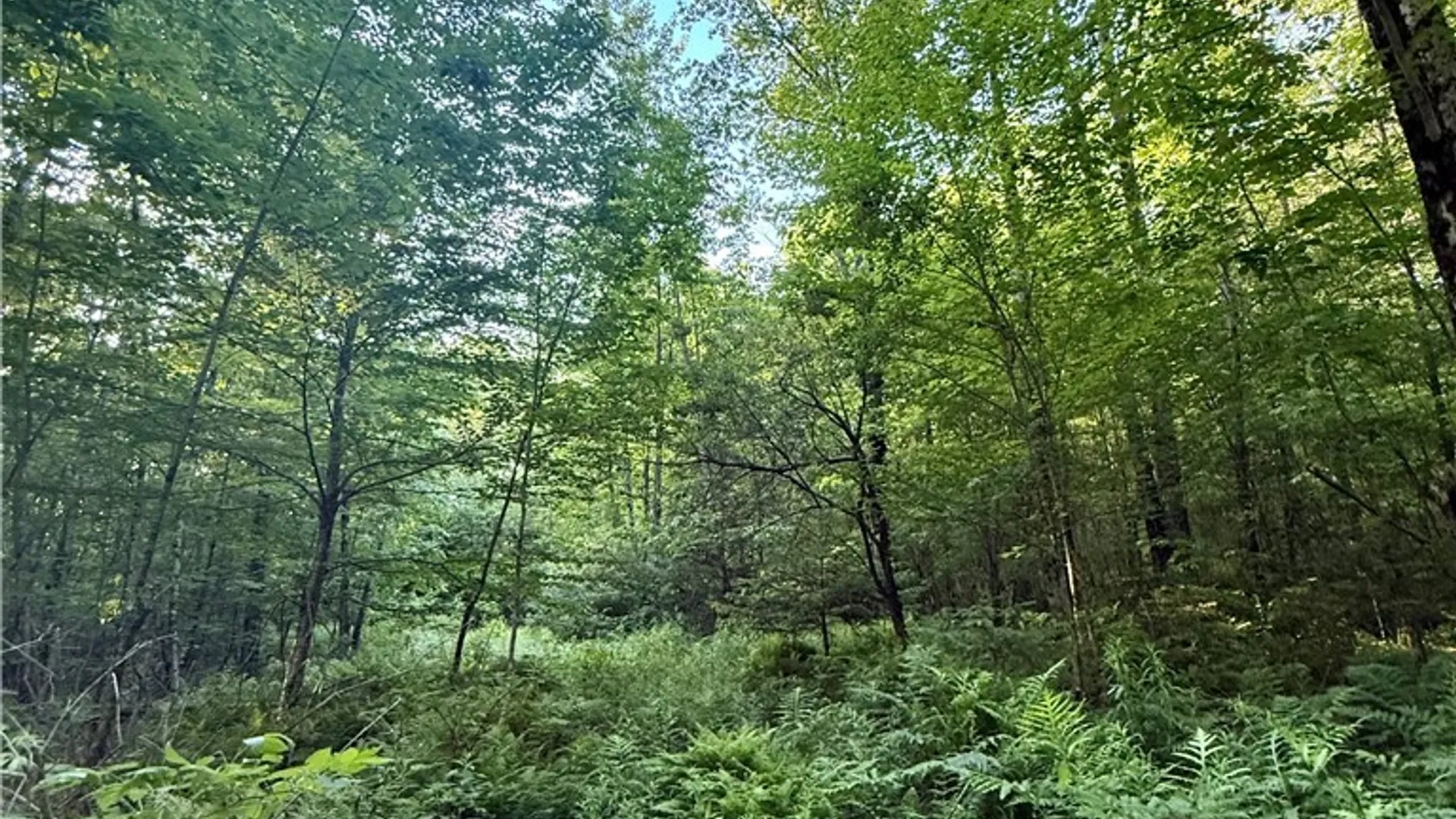 Property at 9191 Furman Mills Road, Brookfield, NY 13485 21