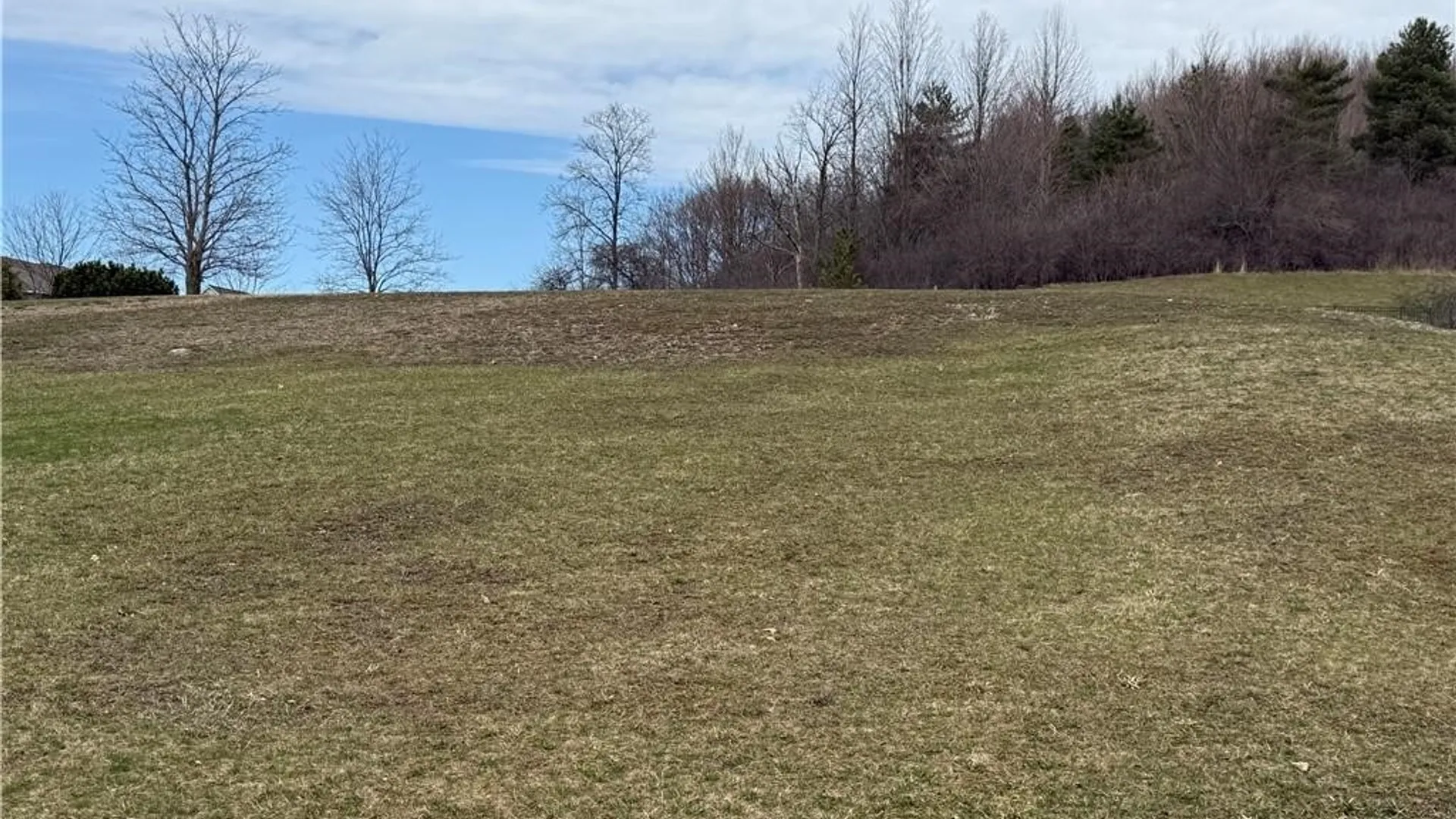 Property at 6237 Steinway Drive, DeWitt, NY 13078 27