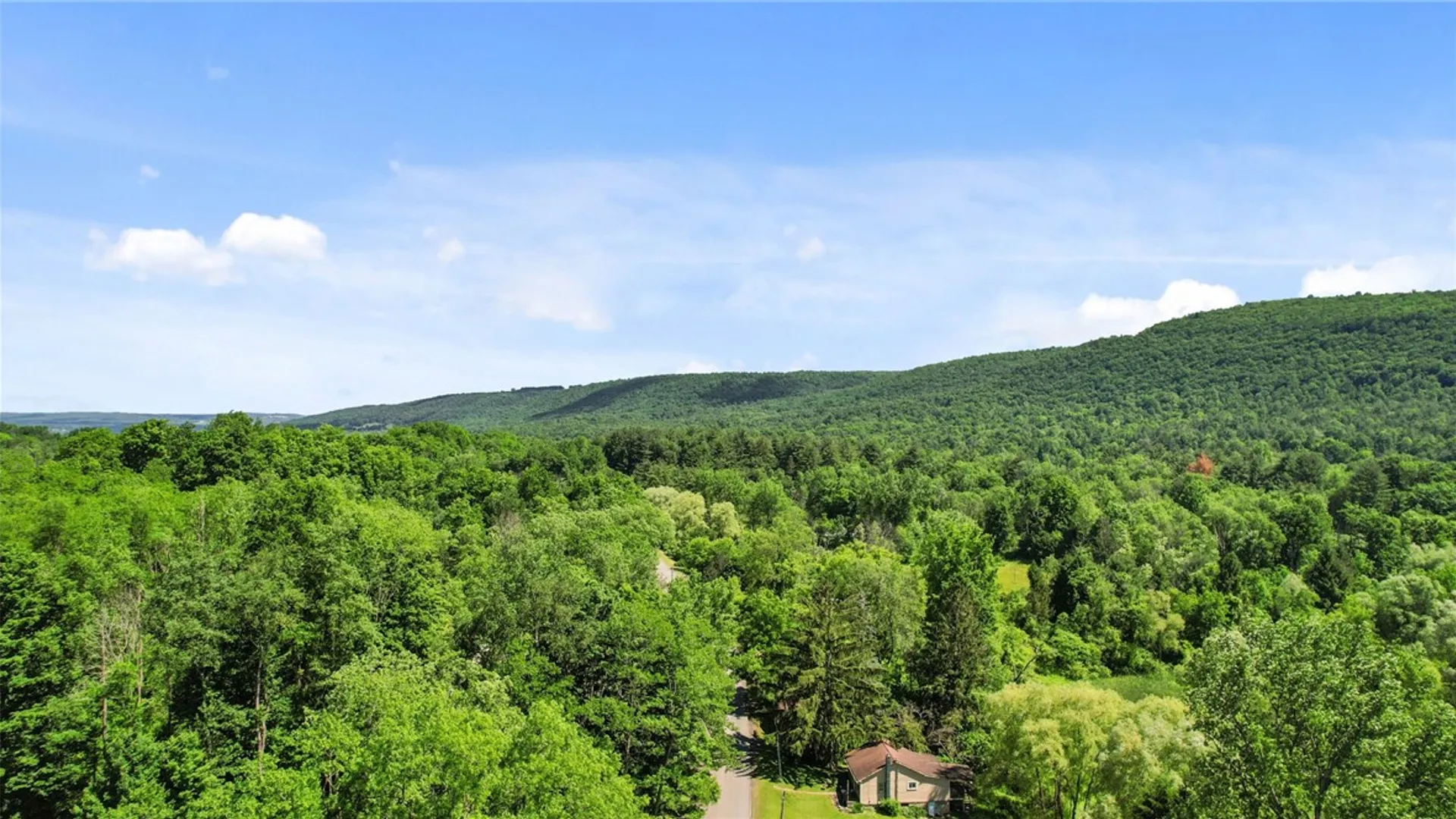 Property at 541 Brown Road, Danby, NY 14883 27
