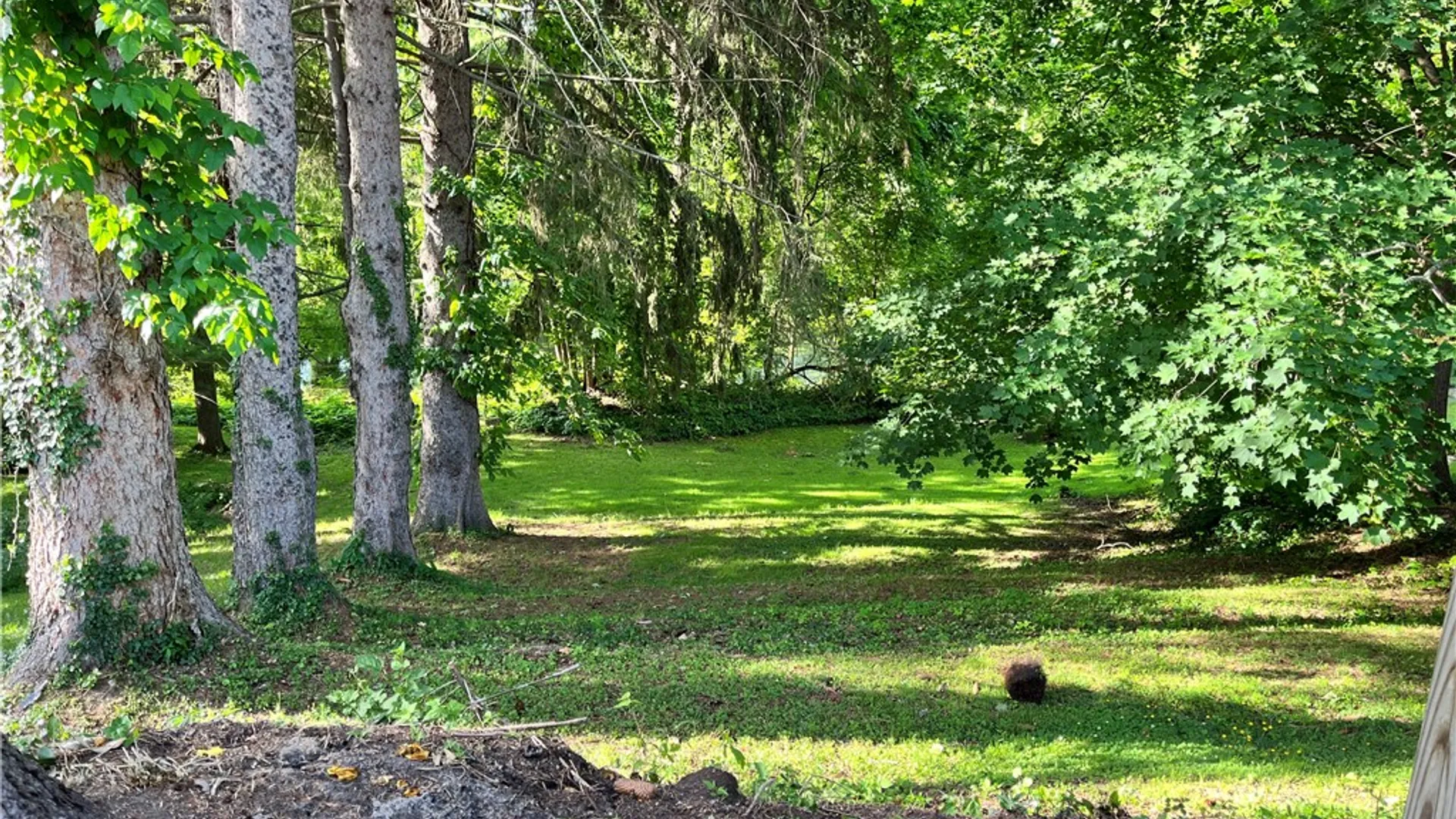 Property at 429 W Main Street, Palmyra, NY 14522 11