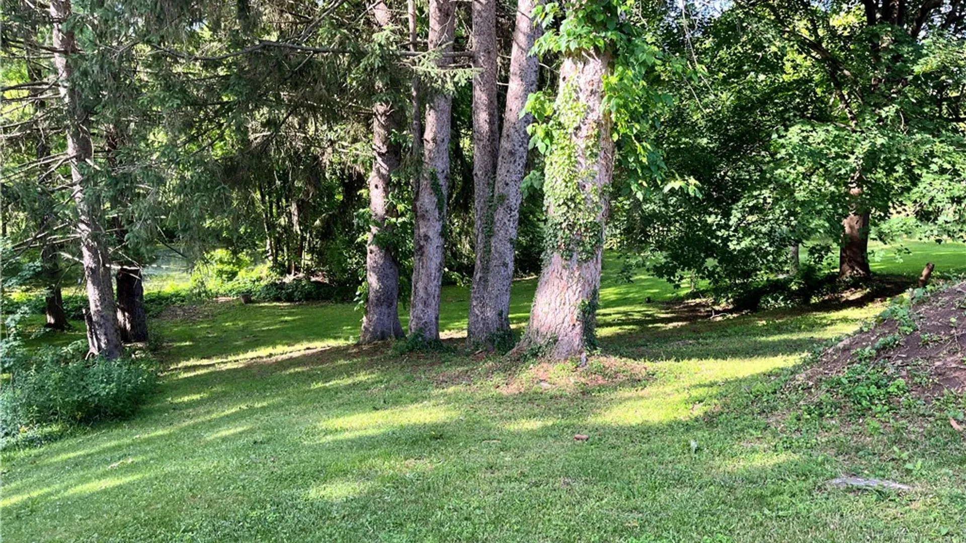 Property at 429 W Main Street, Palmyra, NY 14522 12